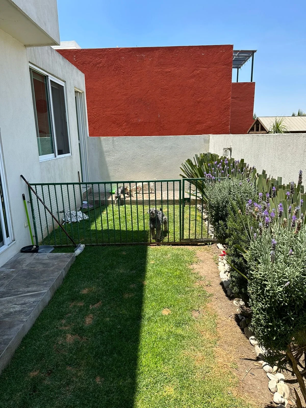 WhatsApp Image 2025-11-01 at 10.10.10 (1).jpeg