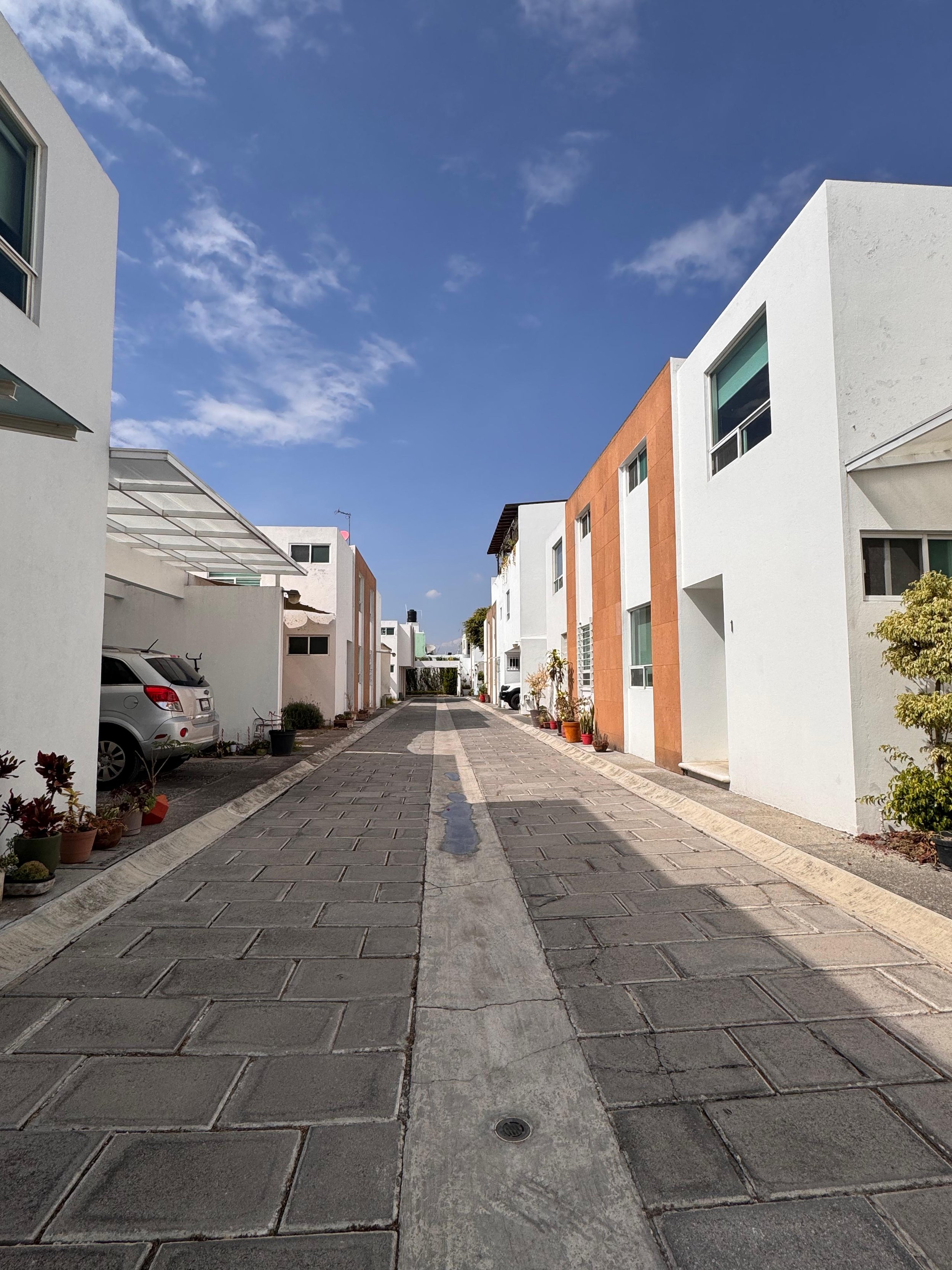 WhatsApp Image 2025-12-13 at 11.17.48.jpeg