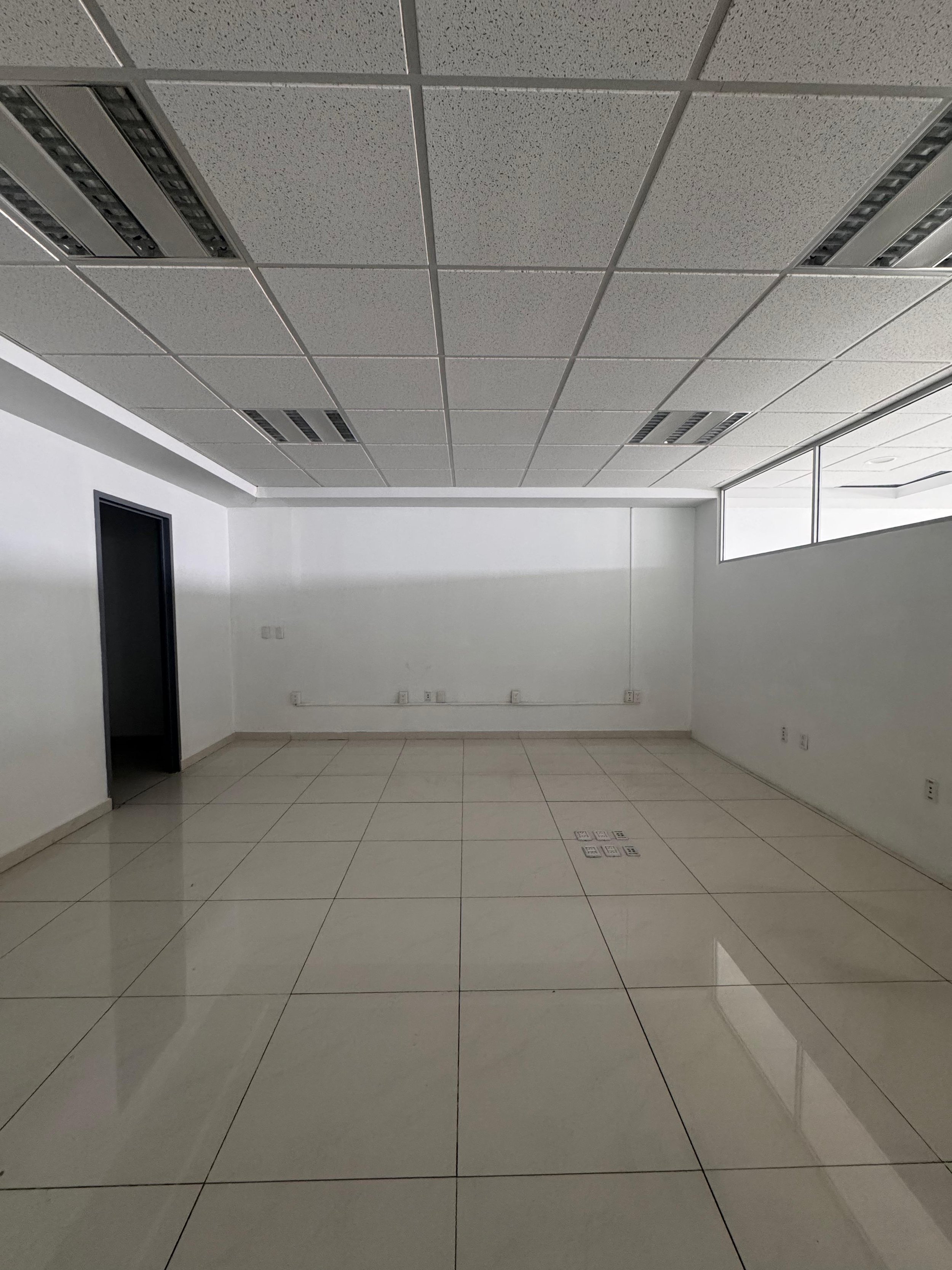 WhatsApp Image 2025-11-16 at 15.21.02 (2).jpeg