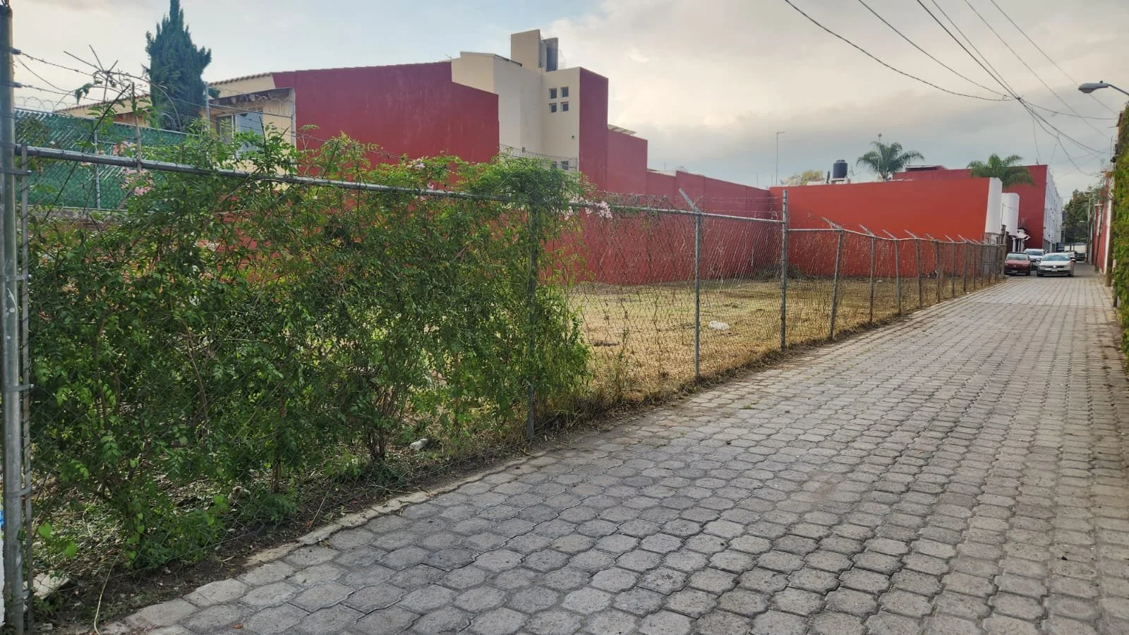 WhatsApp Image 2024-10-09 at 10.55.55 (4).jpeg