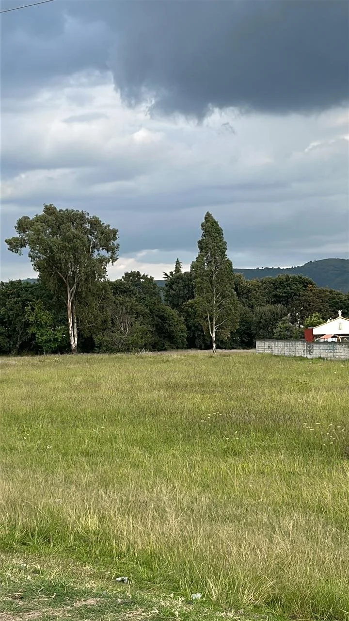 WhatsApp Image 2025-11-18 at 20.18.29 (3).jpeg