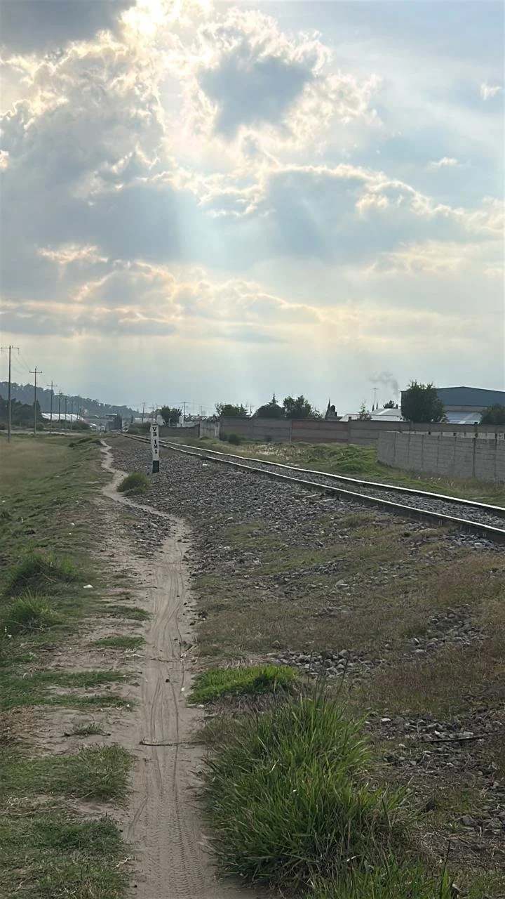 WhatsApp Image 2025-11-18 at 20.18.29.jpeg