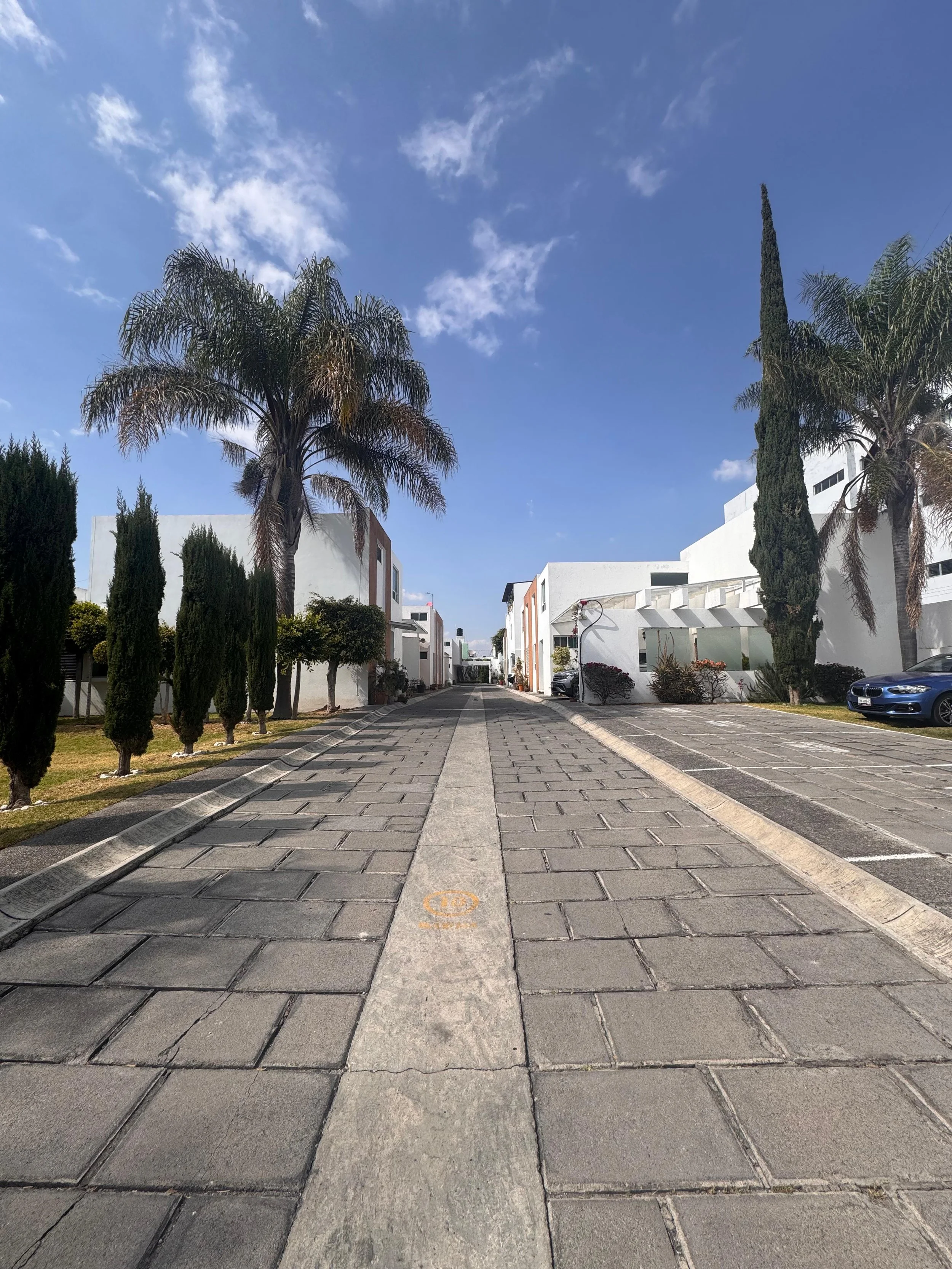 WhatsApp Image 2025-12-13 at 11.17.48 (5).jpeg