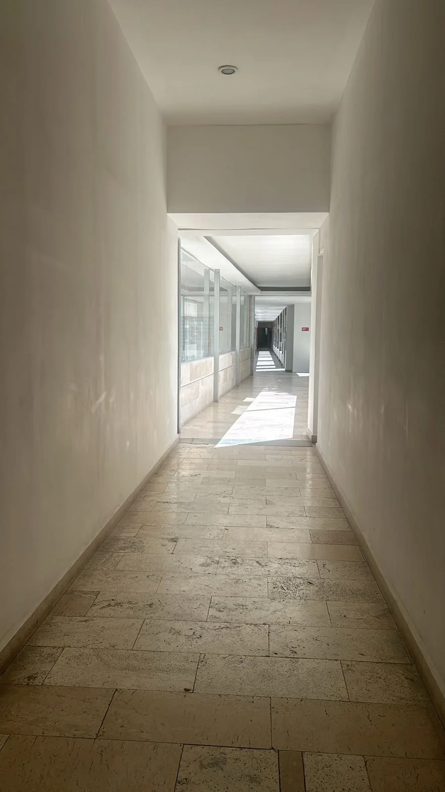 WhatsApp Image 2025-08-07 at 21.46.16 (2).jpeg