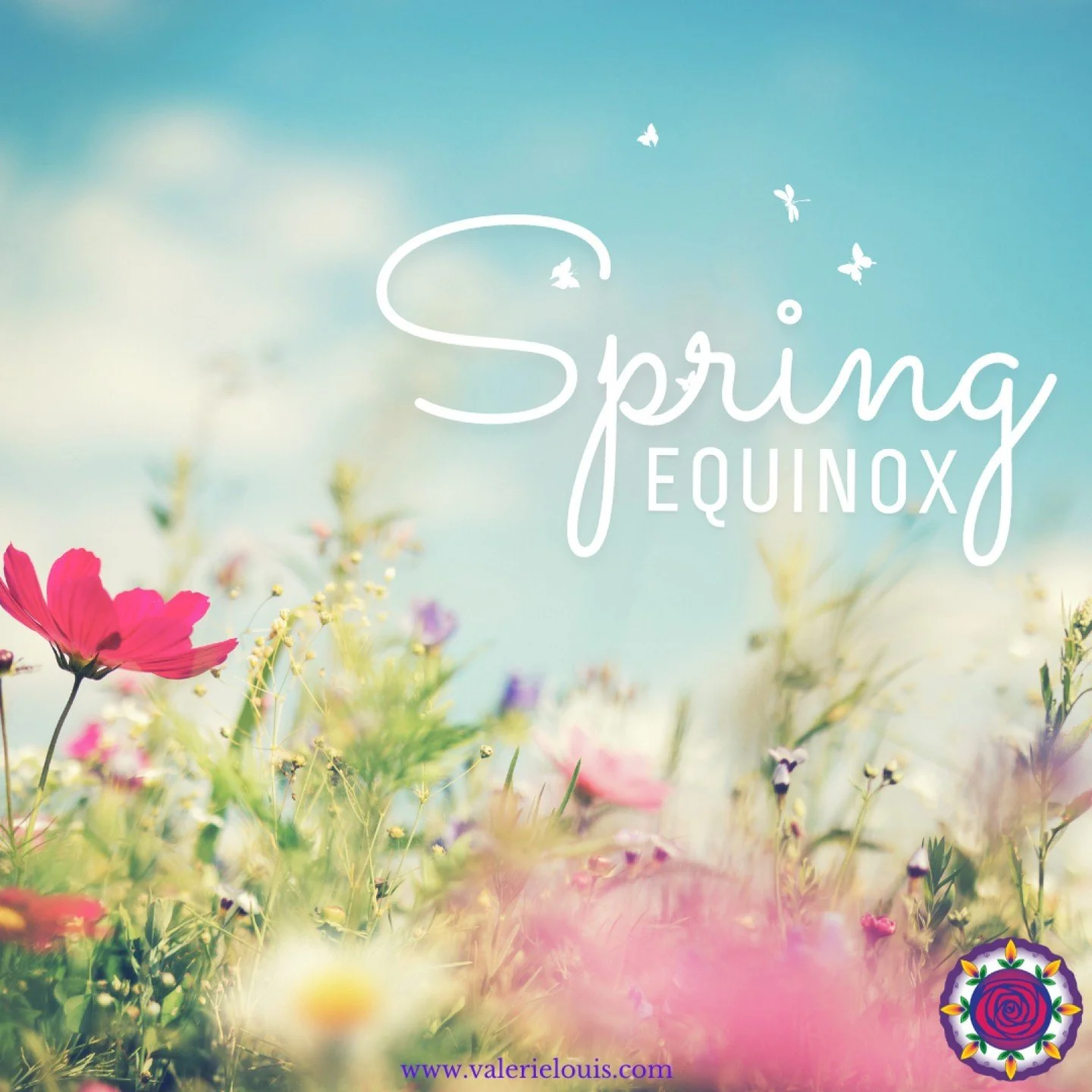 The Spring Equinox Newsletter went out yesterday. Each equinox and solstice I send out a missive. Here is a snippet of my letter this year:

🌳 The natural world calls us into turning towards the new life around us (orienting) and with that brief mom