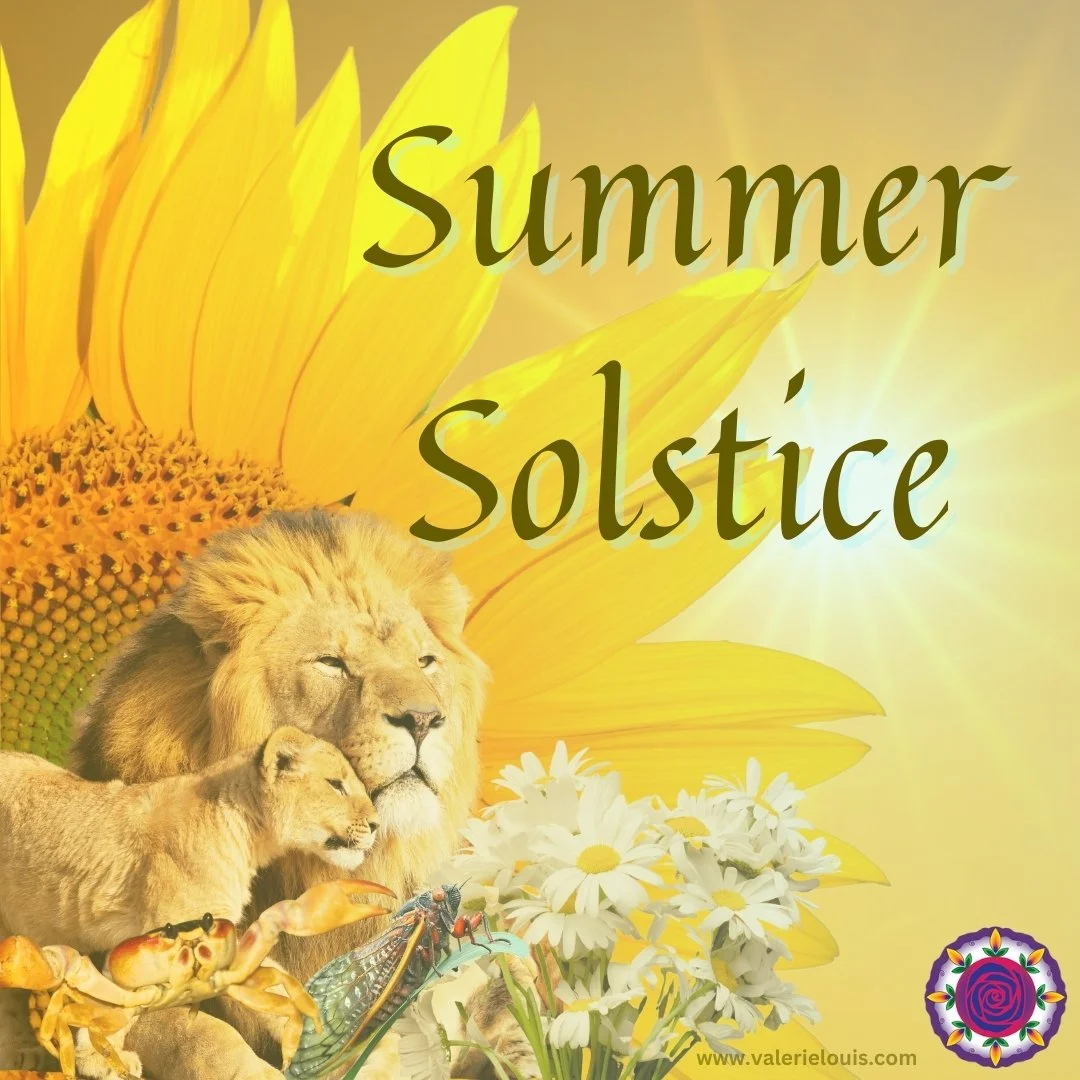 Summer Solstice Newsletter went out this morning. The themes of pause and shelter have been whispering to me lately...while not typically themes we think of this time of year - excessive heat and sun require rest and shelter for us to thrive. 

Pausi