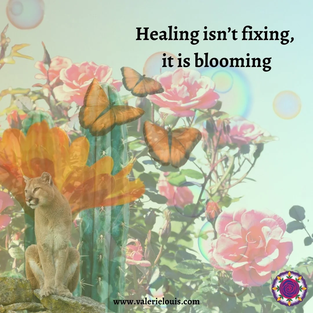 When I began in the healing world as a client I definitely felt like I needed fixing. I wanted to fix the grief I was feeling, fix my too muchness, fix the continual ache I felt. And after much money and time spent without fixing me, I realized fixin