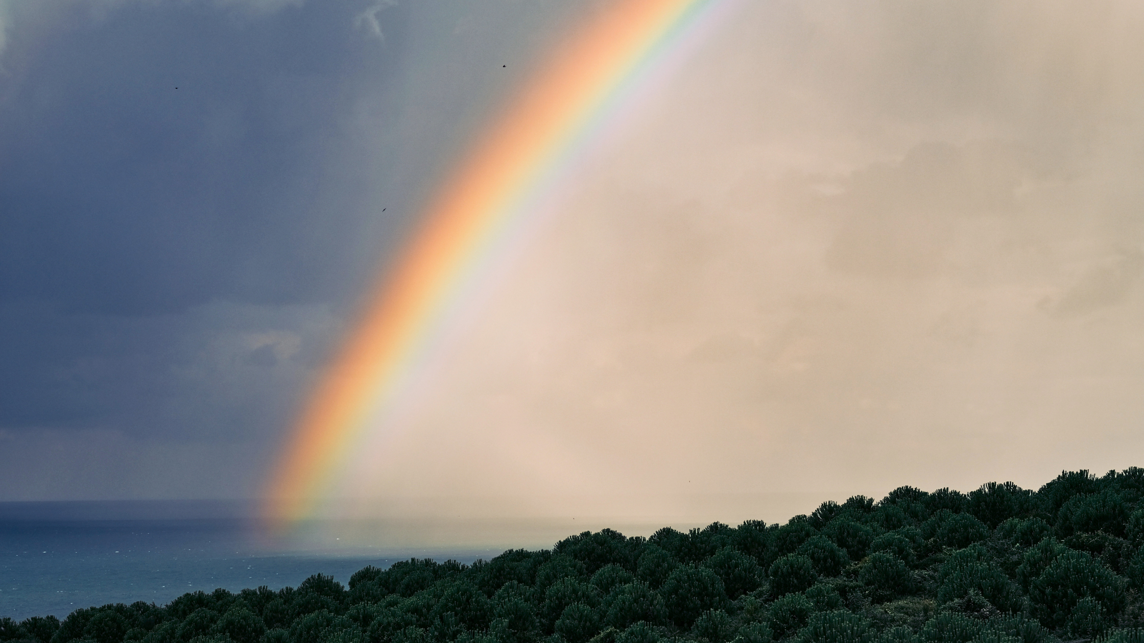 A rainbow arching across a cloudy sky over a landscape with trees and water.