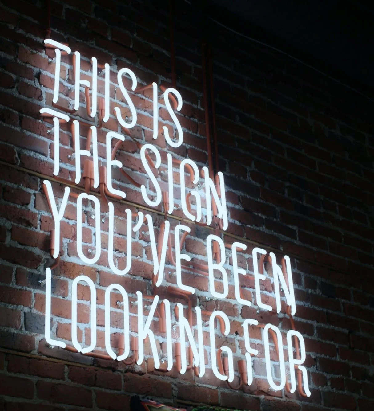Neon sign on brick wall reads 'This is the sign you've been looking for'.