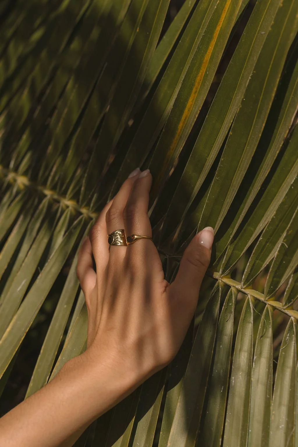 TSM-COASTAL-ELEGANCE (20).jpg