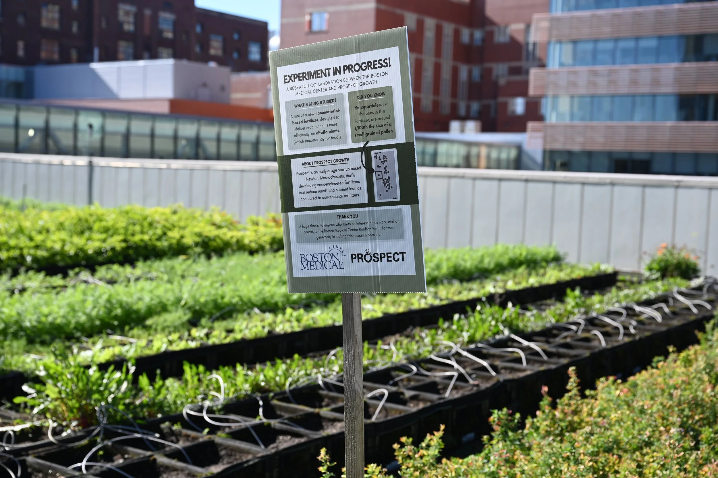 Boston Medical Center Power Plant Farm, October 2025