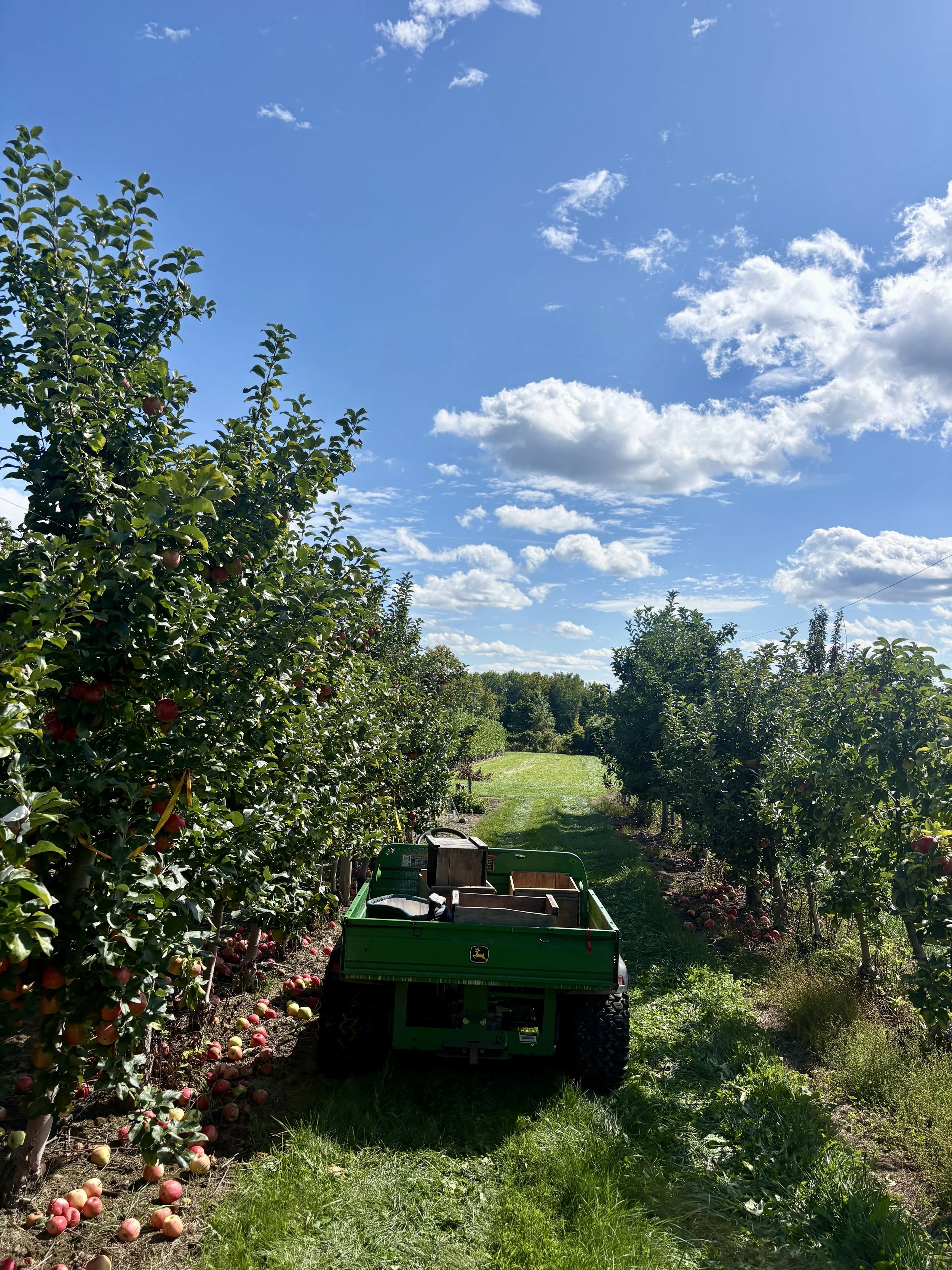 UMass Cold Spring Orchard Trial, September 2026
