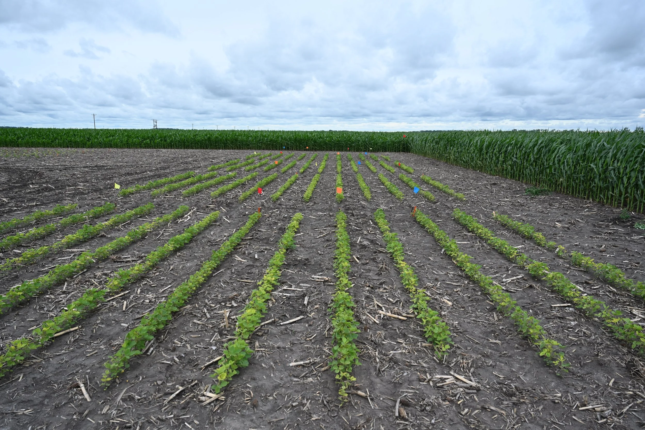 North Dakota State University collaboration, ND 2025
