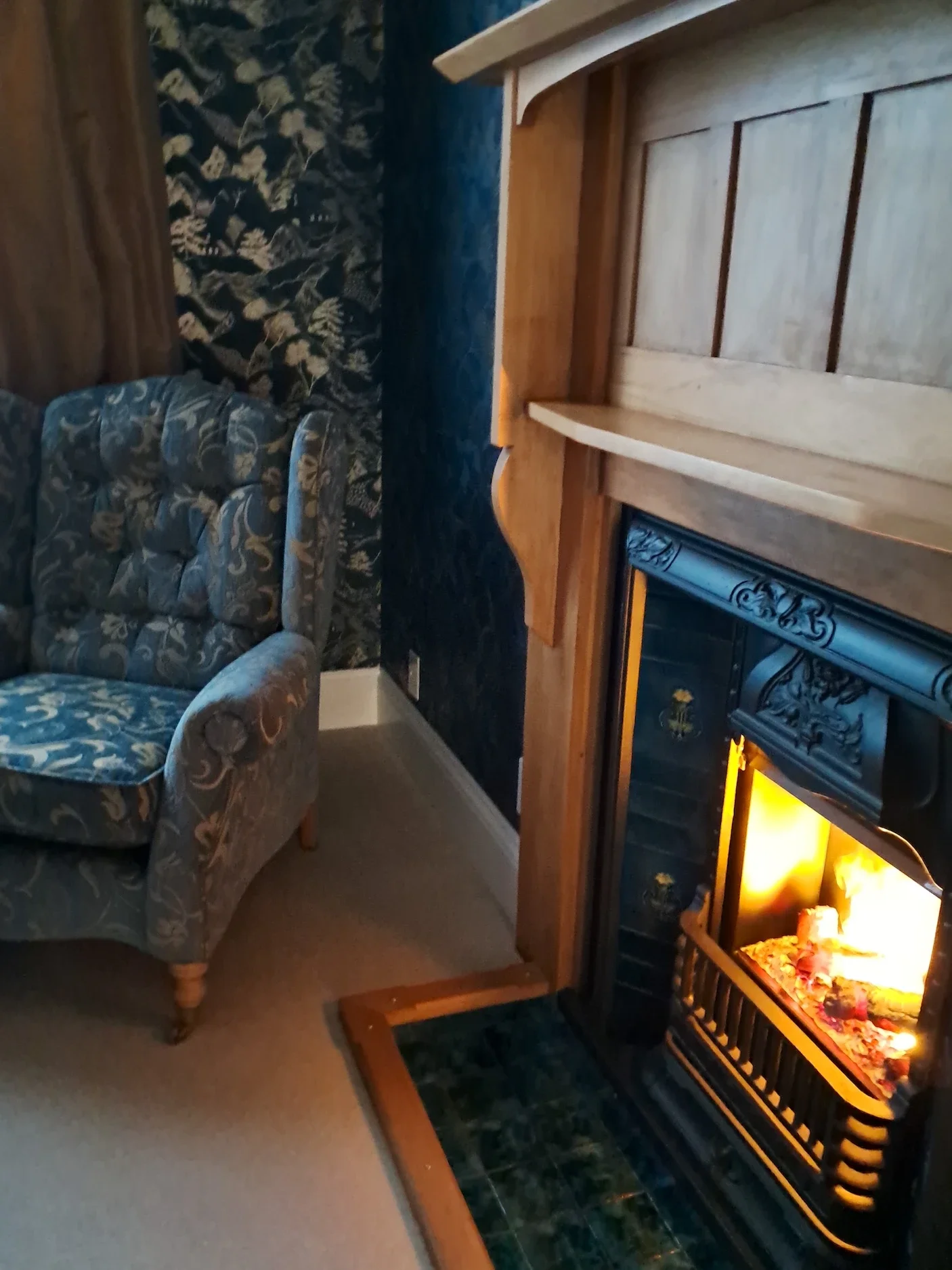 Plane Tree Villa accommodation Christchurch 20250329_192249.webp