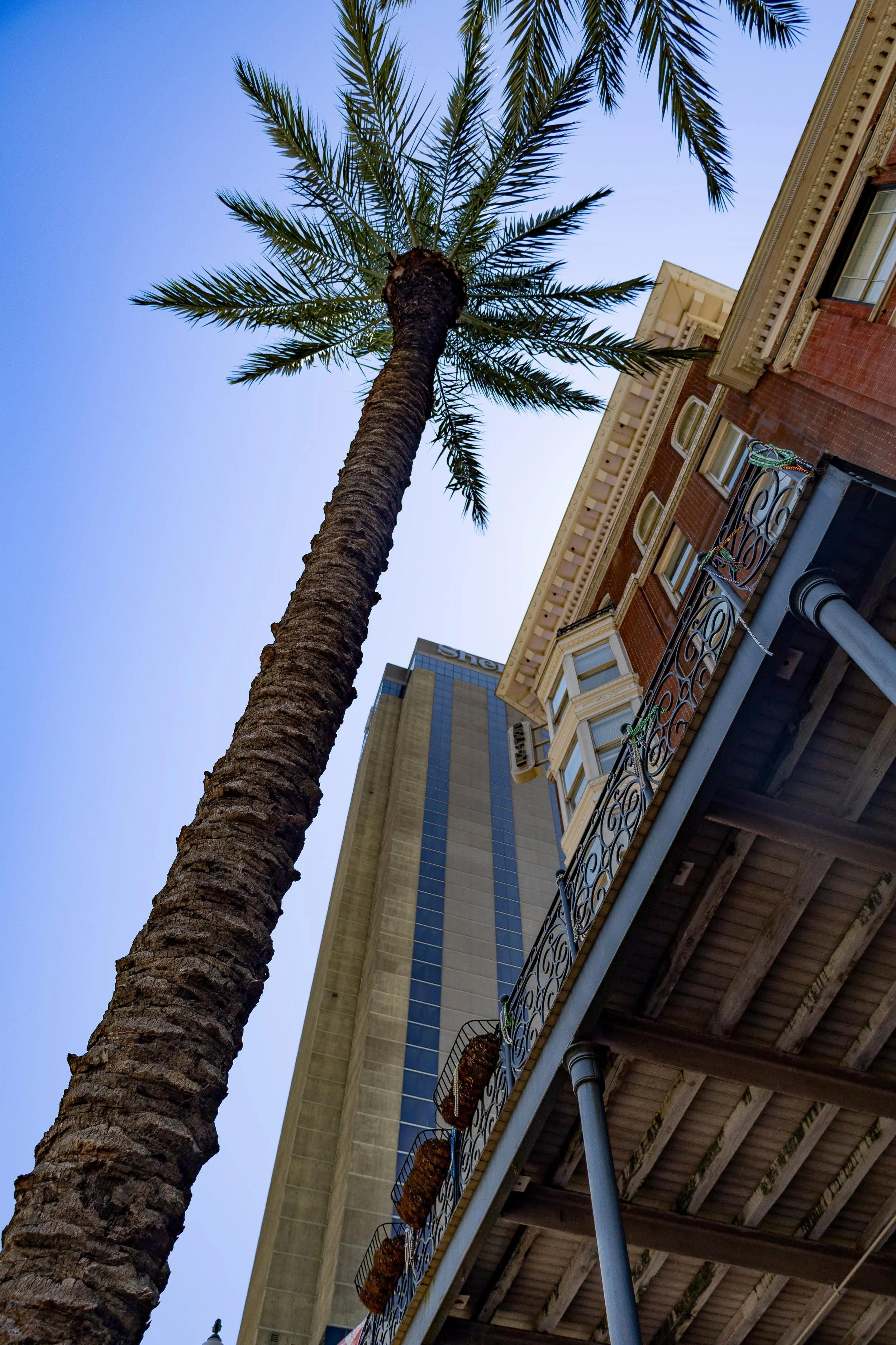 IMG_8629.jpg