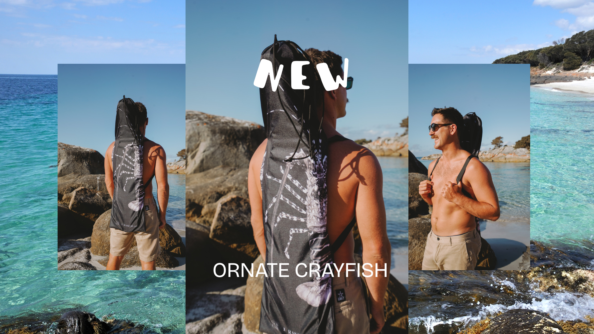 website landscape pictures.png