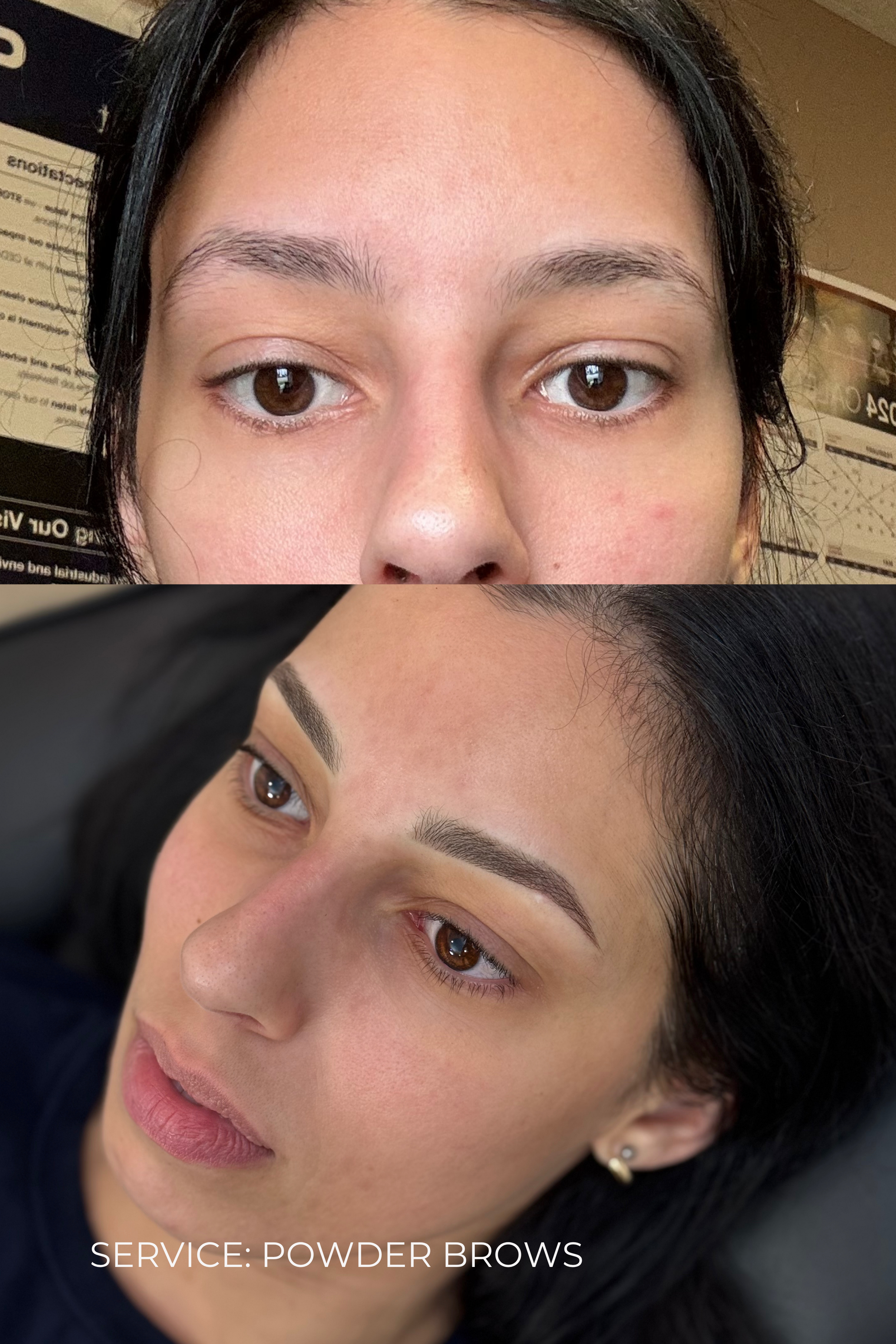 Natural Powder and Nano Brows by Larissa – Chatham-Kent Permanent Makeup Artist