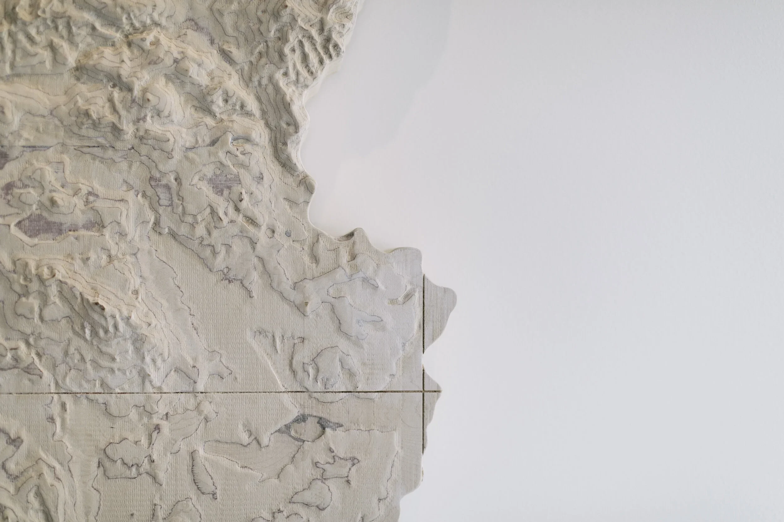 Close-up of a textured wall art piece with layered, abstract topographical patterns in neutral tones on the left, against a plain, light background.