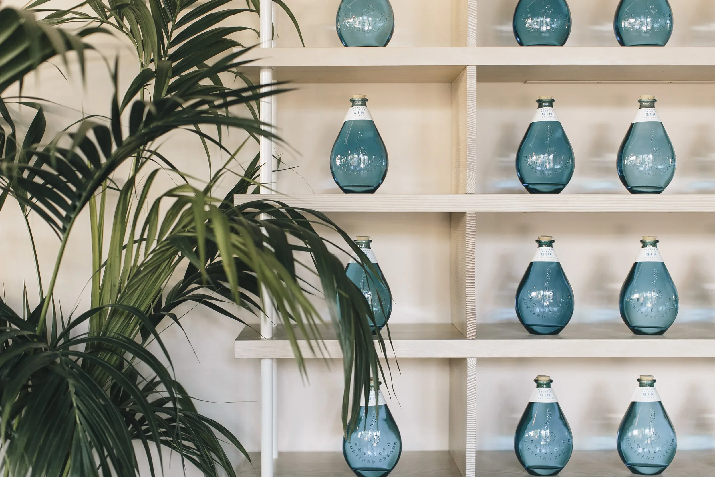 Blue glass bottles on white shelves next to a large green plant.