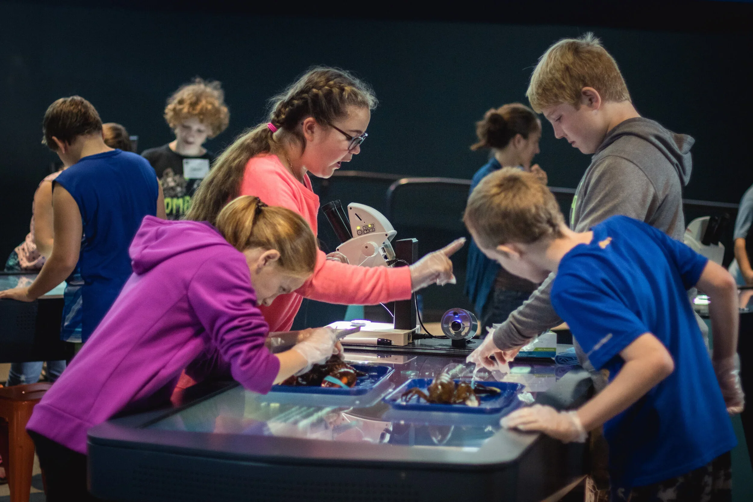 Children and an adult working on a science experiment at a table in a dark room.