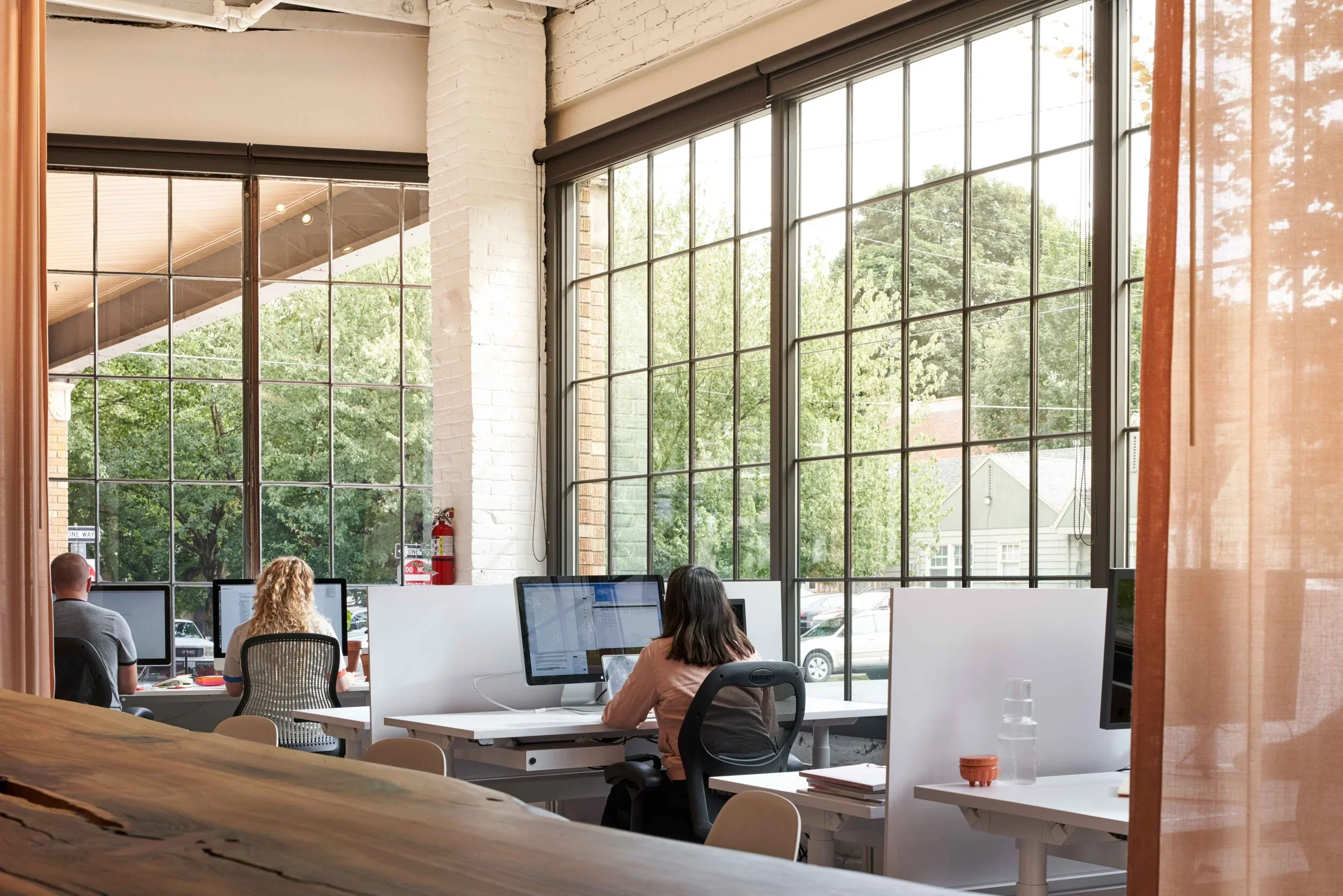 People working at desks with computers in a bright office with large windows and trees outside.