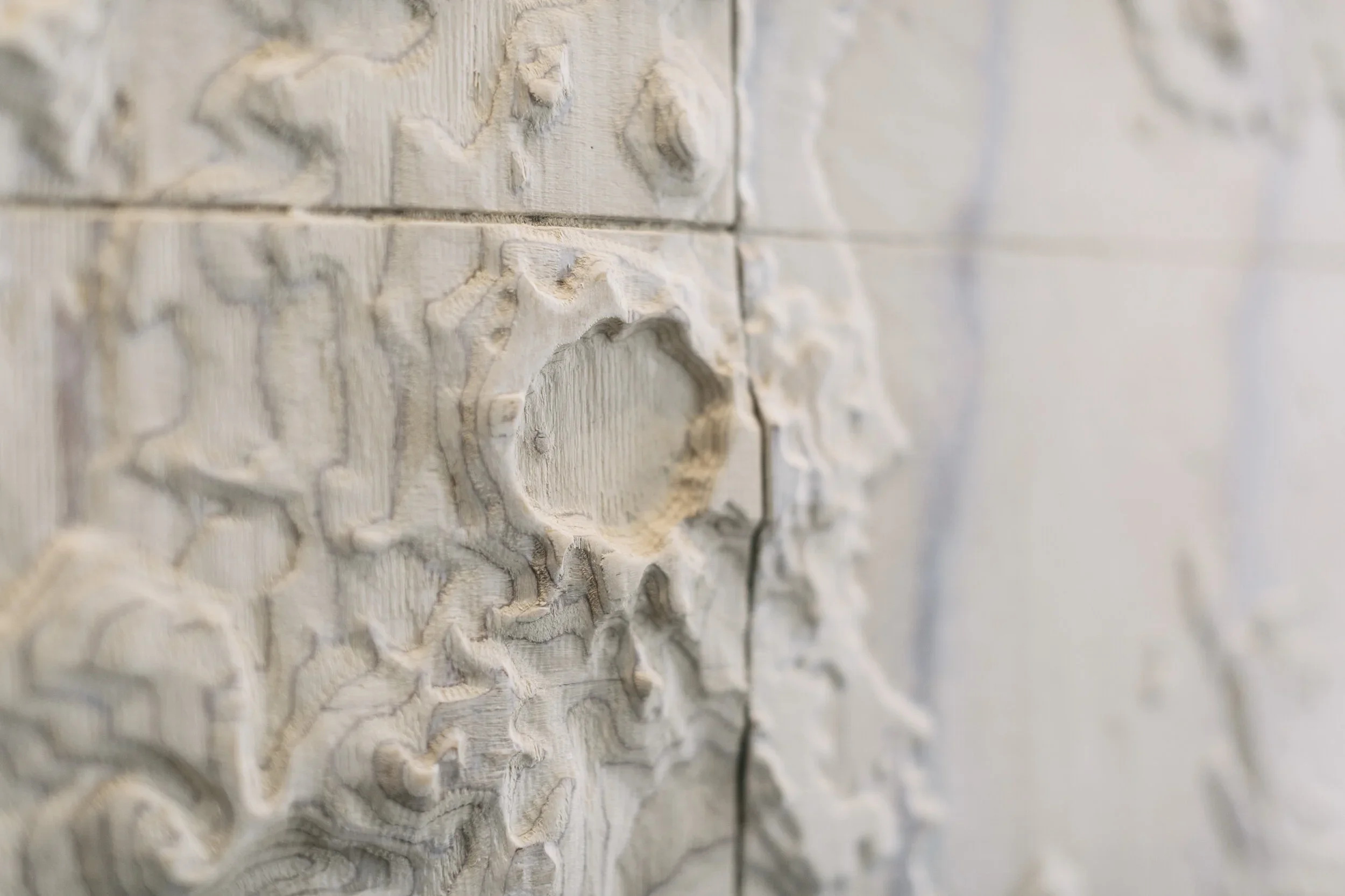 Close-up of a textured, carved white wooden wall panel with intricate patterns and a central empty circular shape.