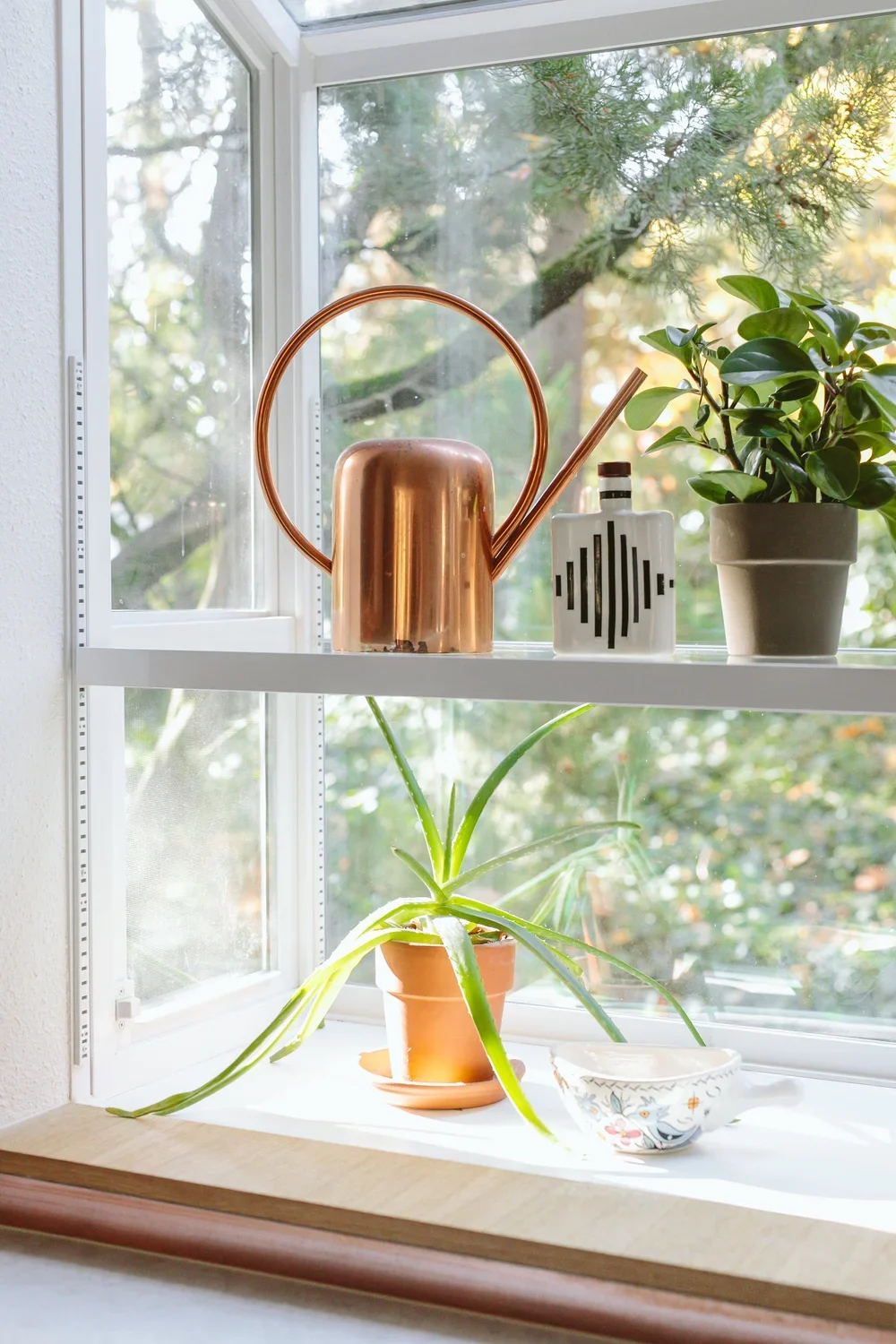 A windowsill with a potted aloe vera plant, a decorative white jar with black and brown design, a copper watering can, and a potted green houseplant, with trees visible outside through the window.