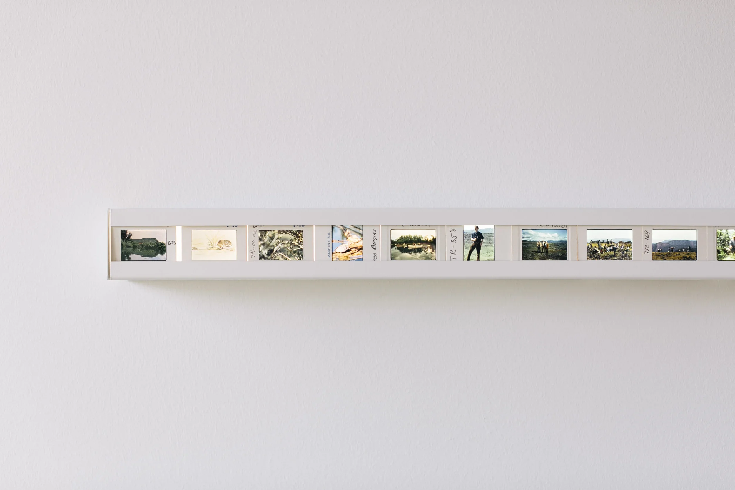 A white photo strip frame mounted on a white wall, holding several small photographs of nature and outdoor scenes.
