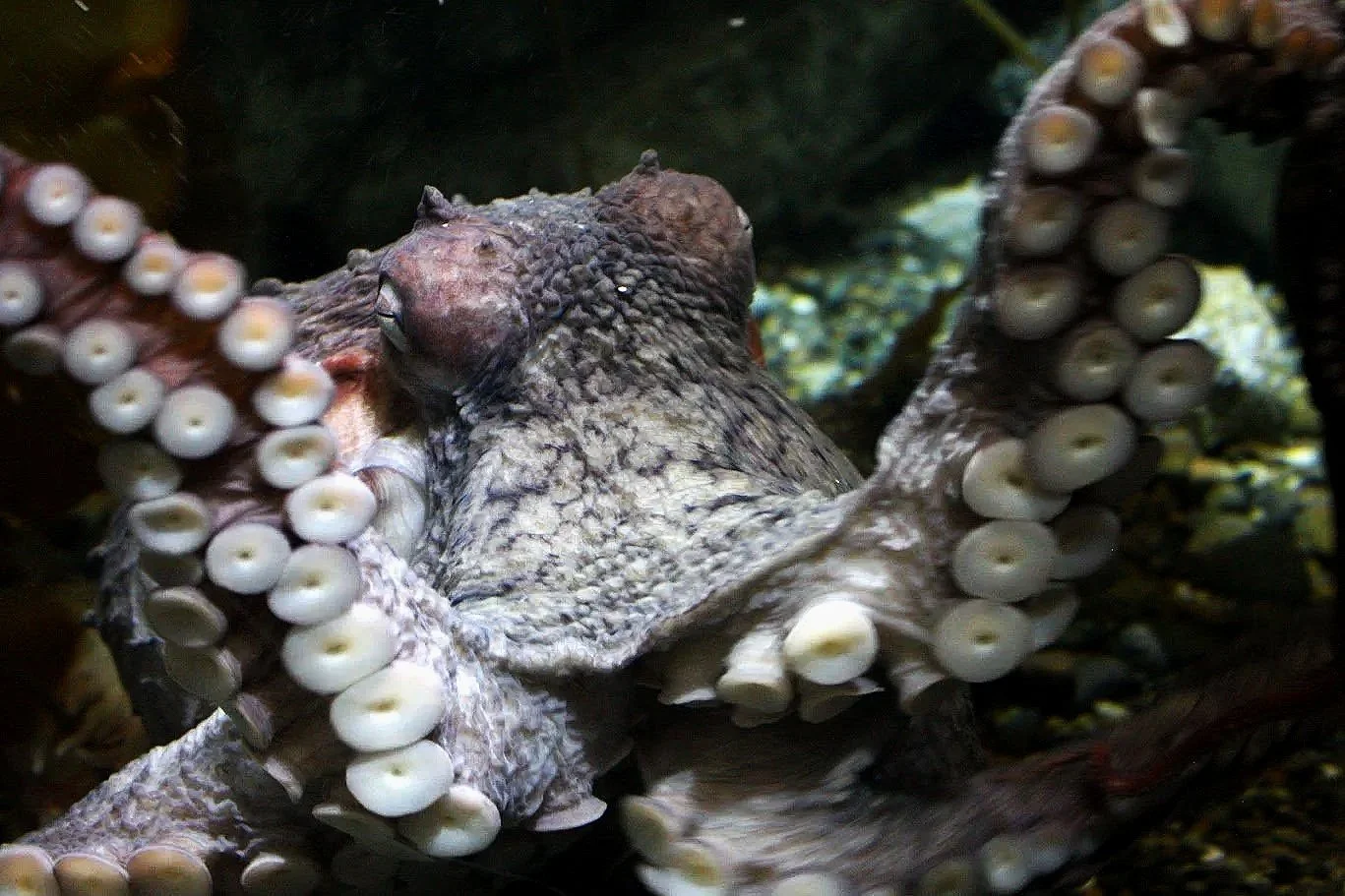 Trekking North: Seattle &amp; Tacoma