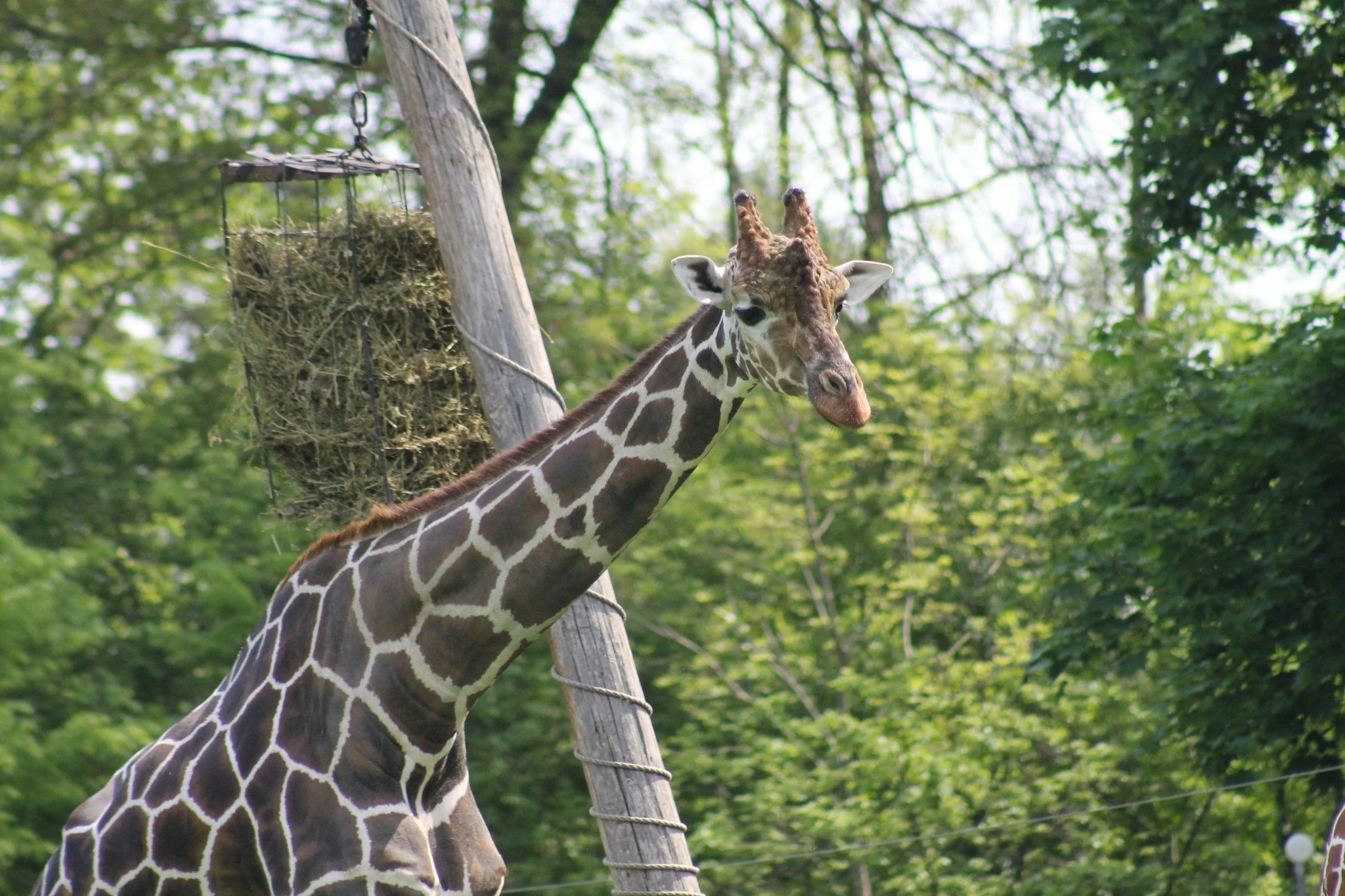 Just Past the Dunes: East Indiana