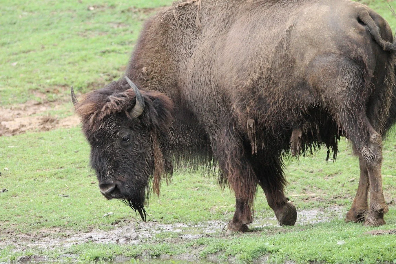 Out to the Woods: Minnesota