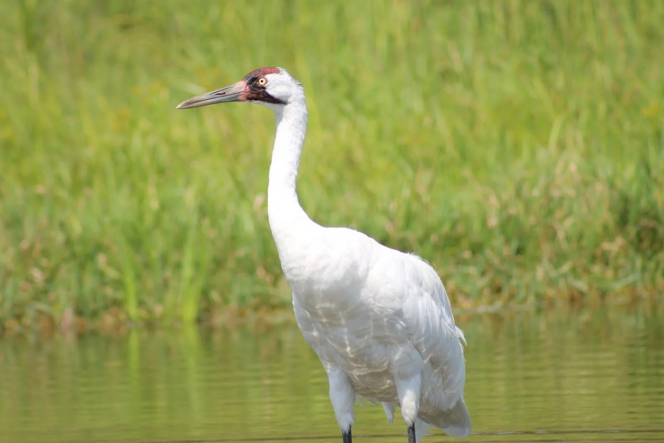 Caves, Mounds and Everything Between: Central Wisconsin