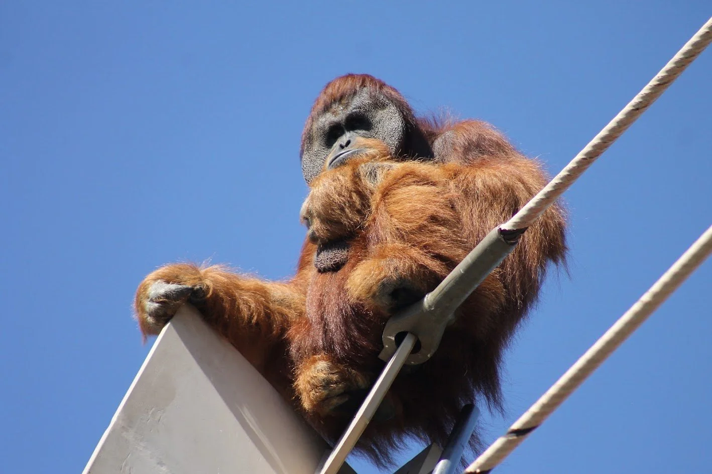 Eastward Bound: Indianapolis &amp; Cincinnati 