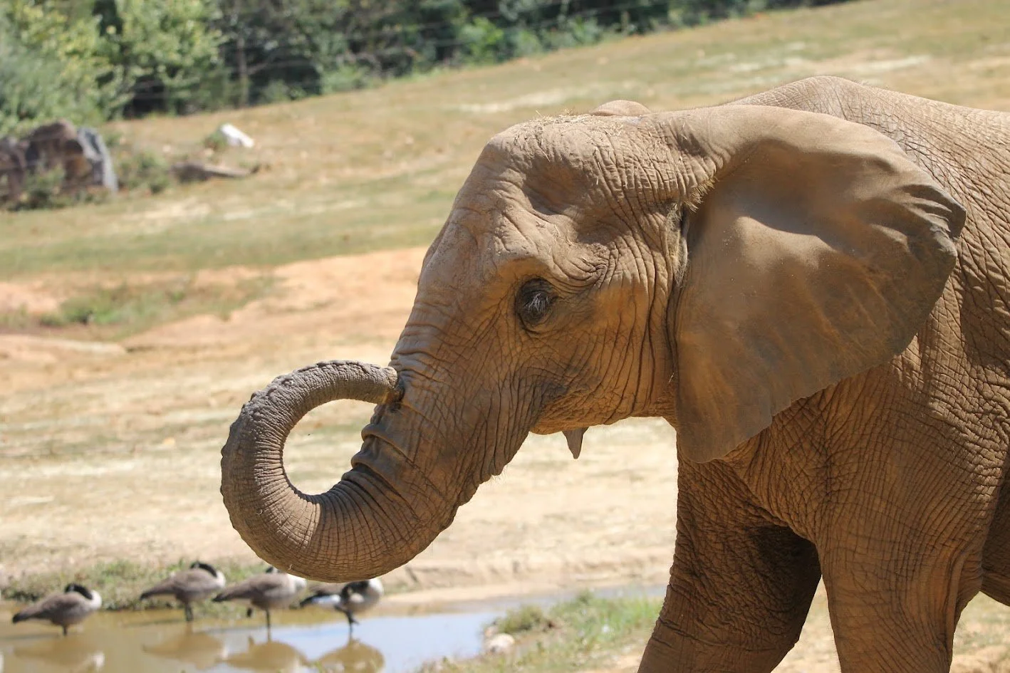 Into the Piedmont: Greensboro &amp; Asheboro 