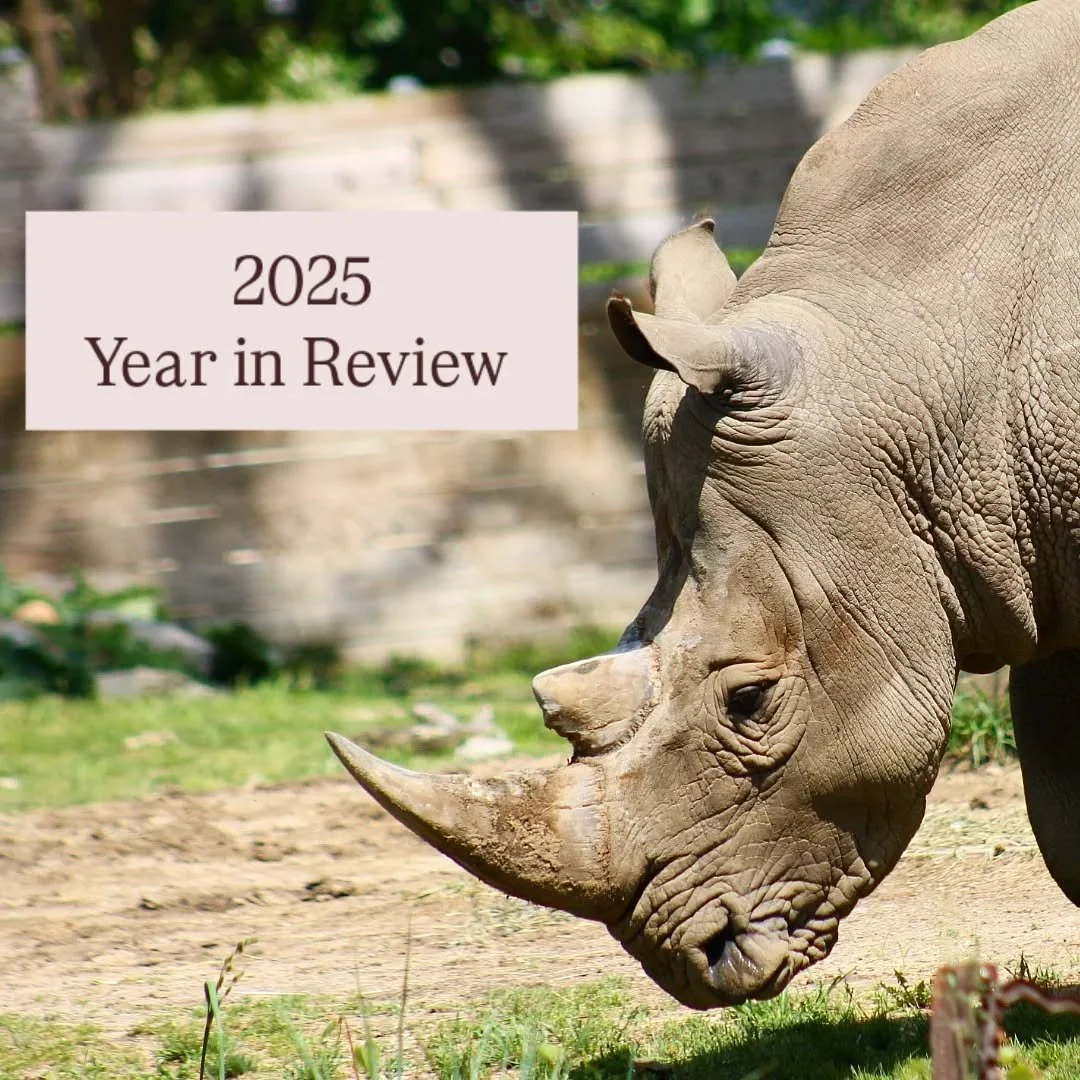 Goodbye 2025, Hello 2026

This past year has been filled with incredible moments with wildlife all across the country! I found myself several times in awe of the experiences I found myself in. This was a great year for wildlife photography, I managed