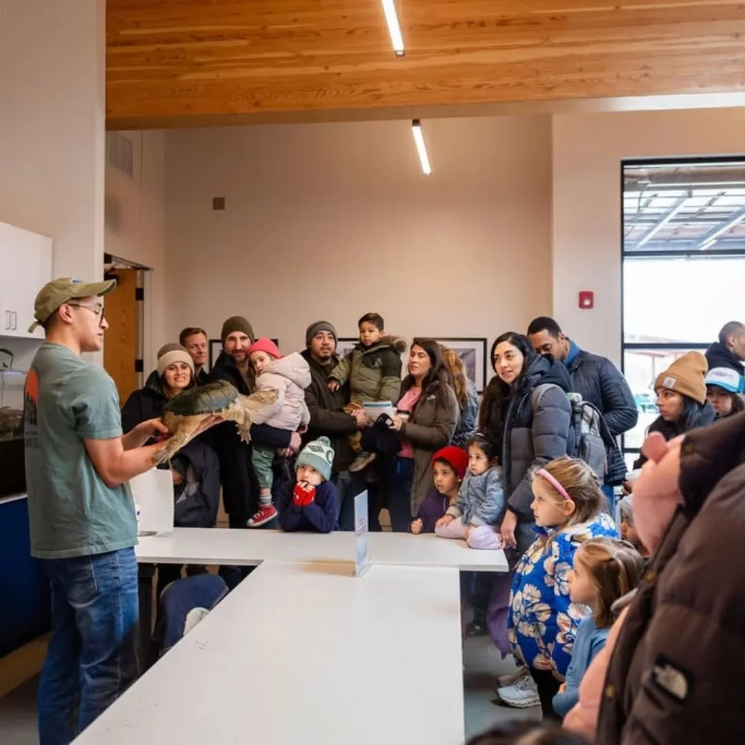 Outside of zookeeping and wildlife photography, I also run Mendez Zoological Design. This one man band allows me to design animal habitats, train ambassador animals and do educational programs with my own critters across the Chicagoland area! 

One o