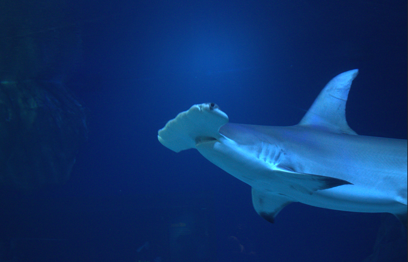 Double Trouble, Twice: Atlanta to Chattanooga