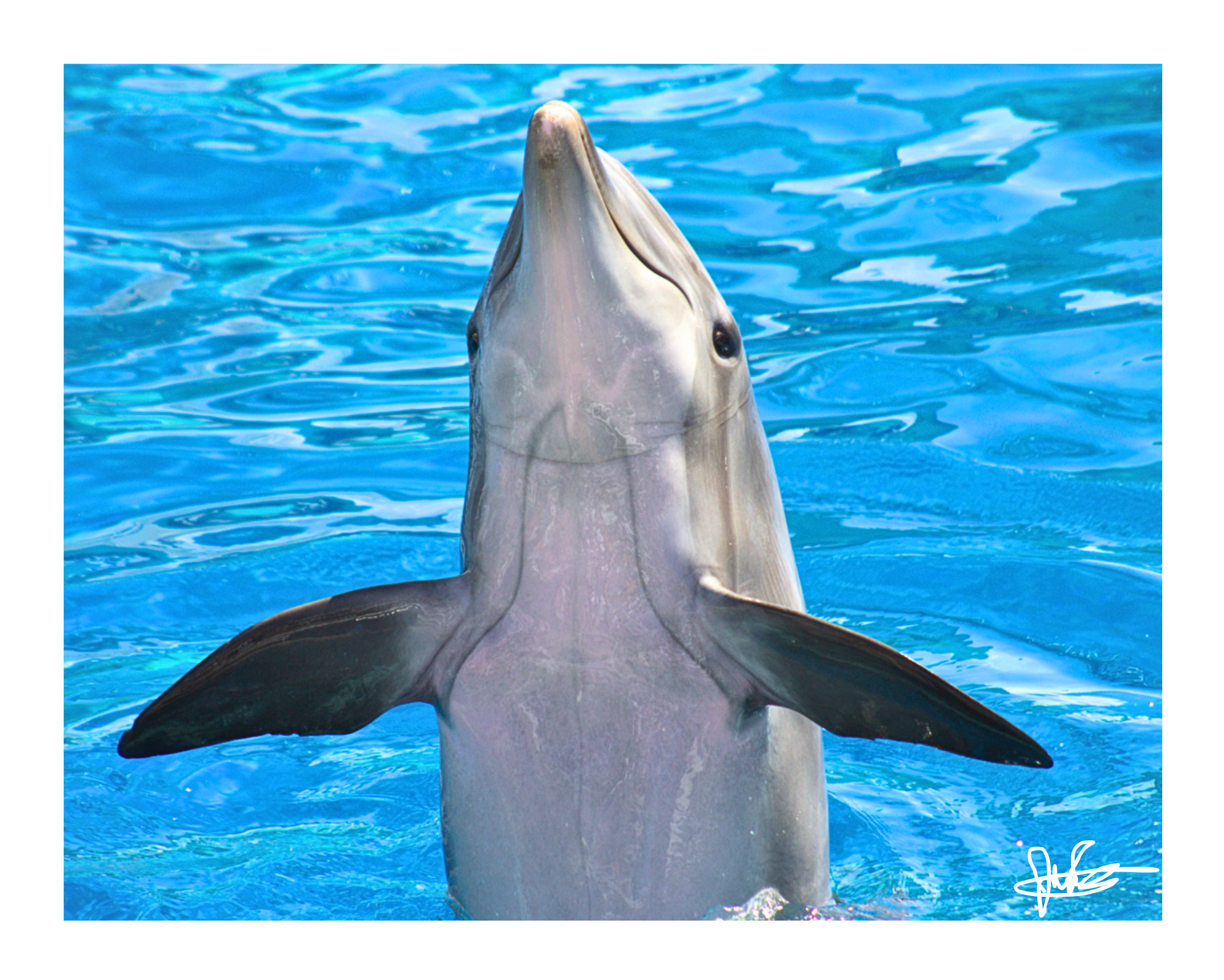 16 X 20" Print "Wave Hello"