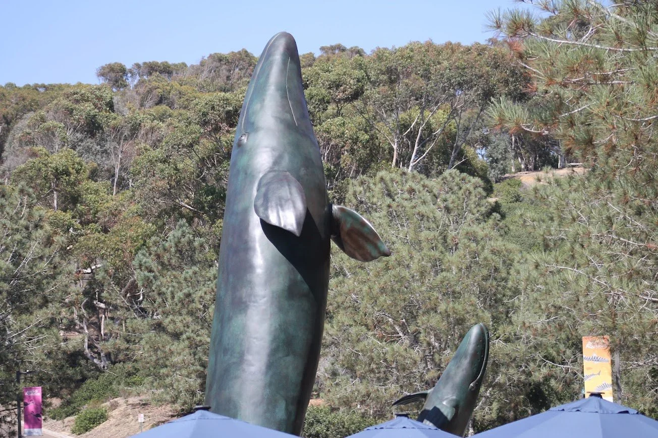 Entrance Gray Whale Statues