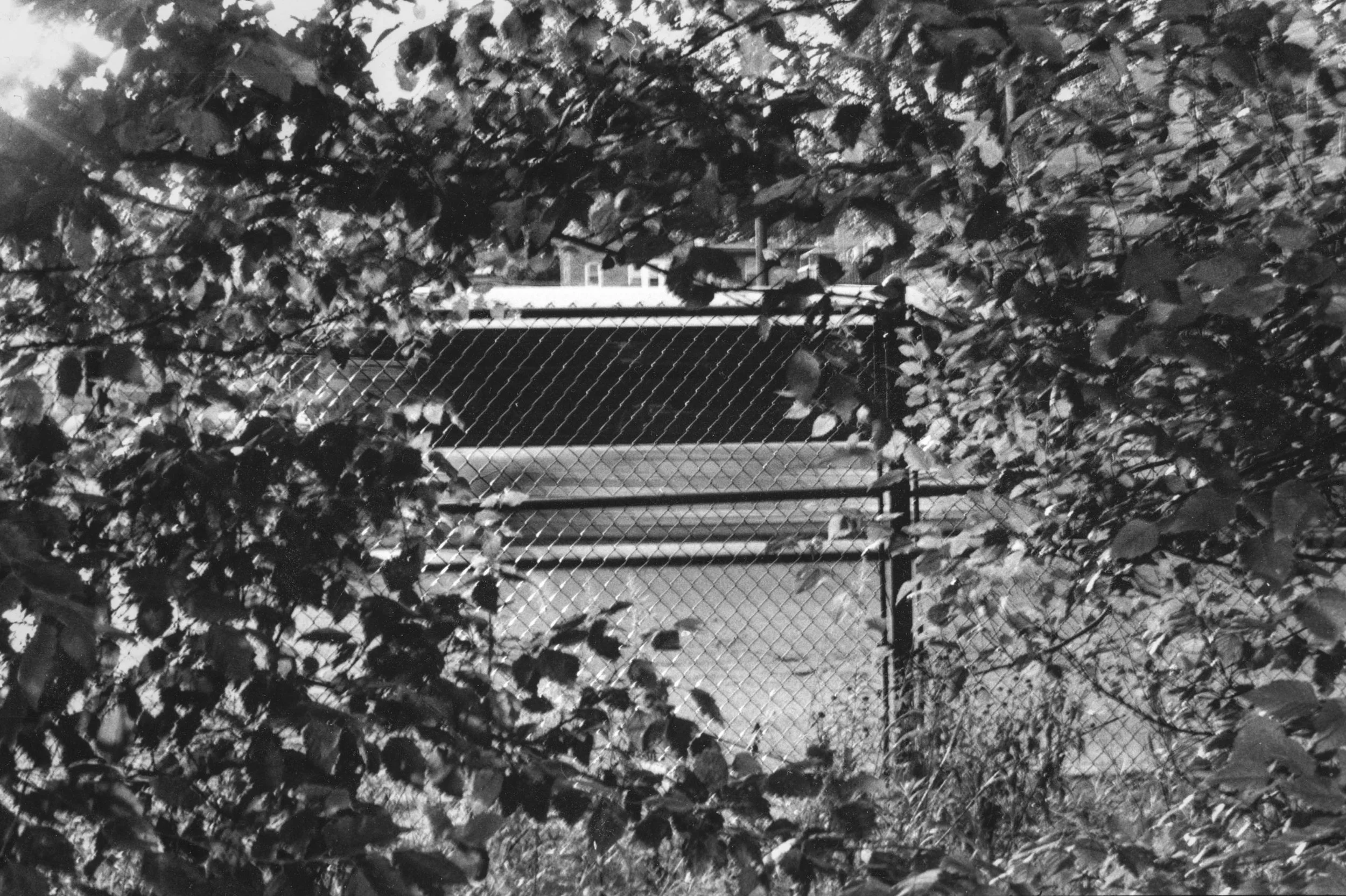 WINDOW (SHOT ON 35mm FILM) 