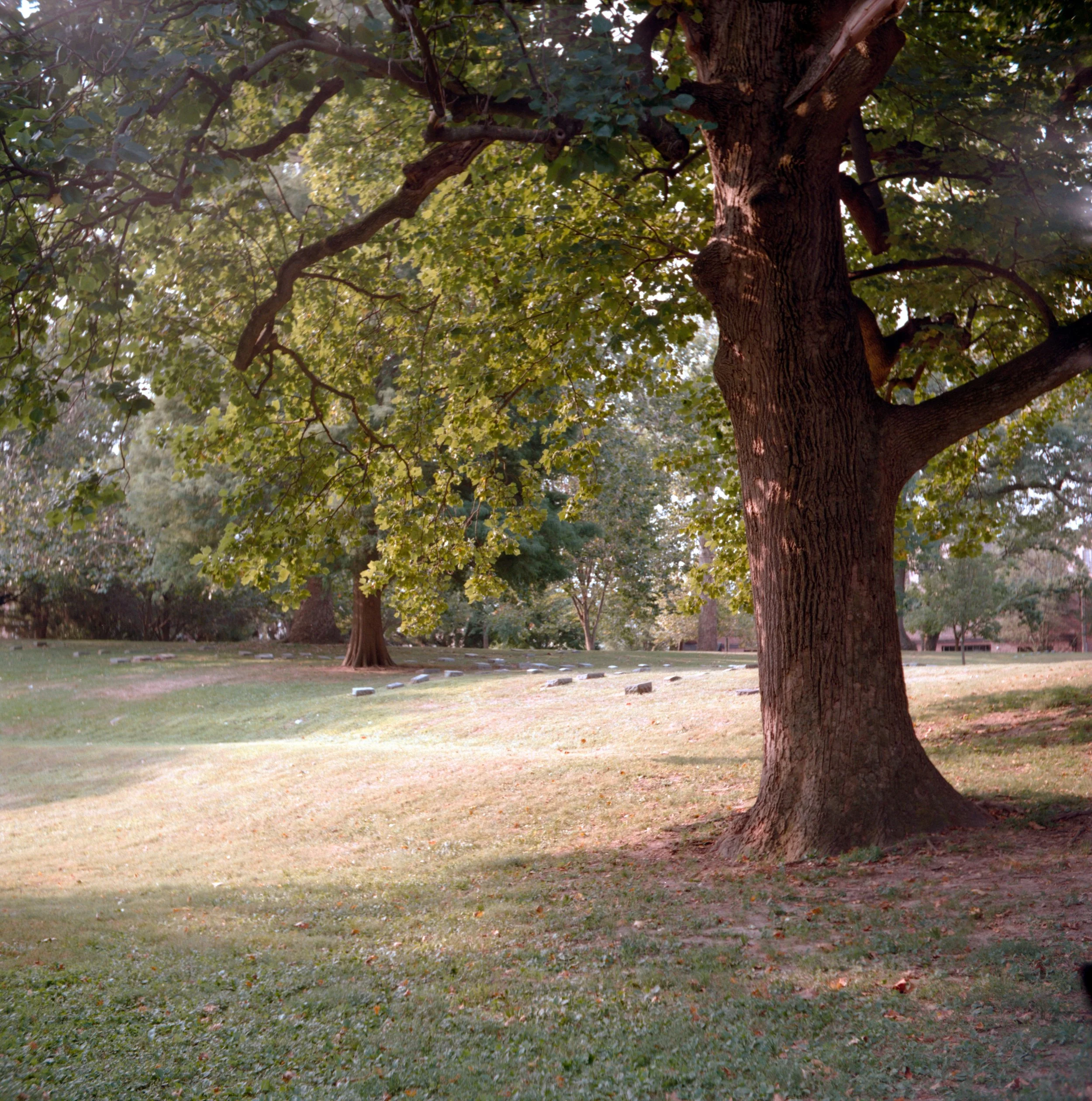 Quaker cemetary.jpeg