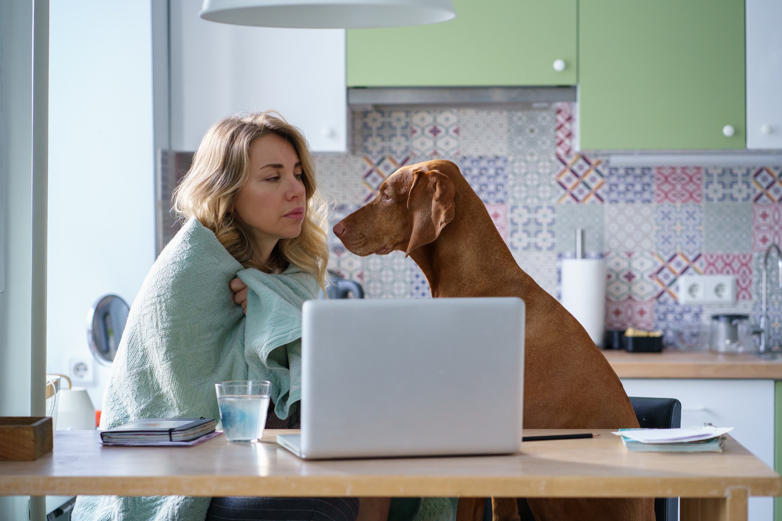 A woman and a dog face each other across a table in a kitchen, with the woman wrapped in a towel and the dog looking at her. There is a laptop, a glass of water, and some papers on the table.