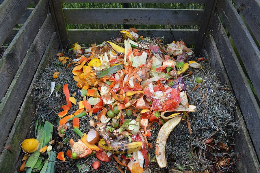 Composting 101 Class