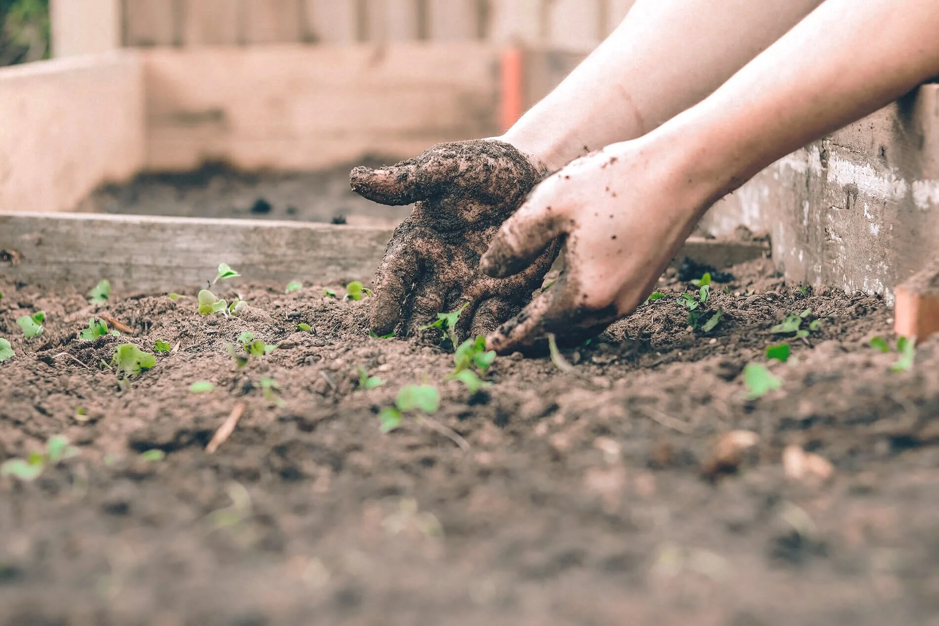 5 Health Benefits of Working in a Garden