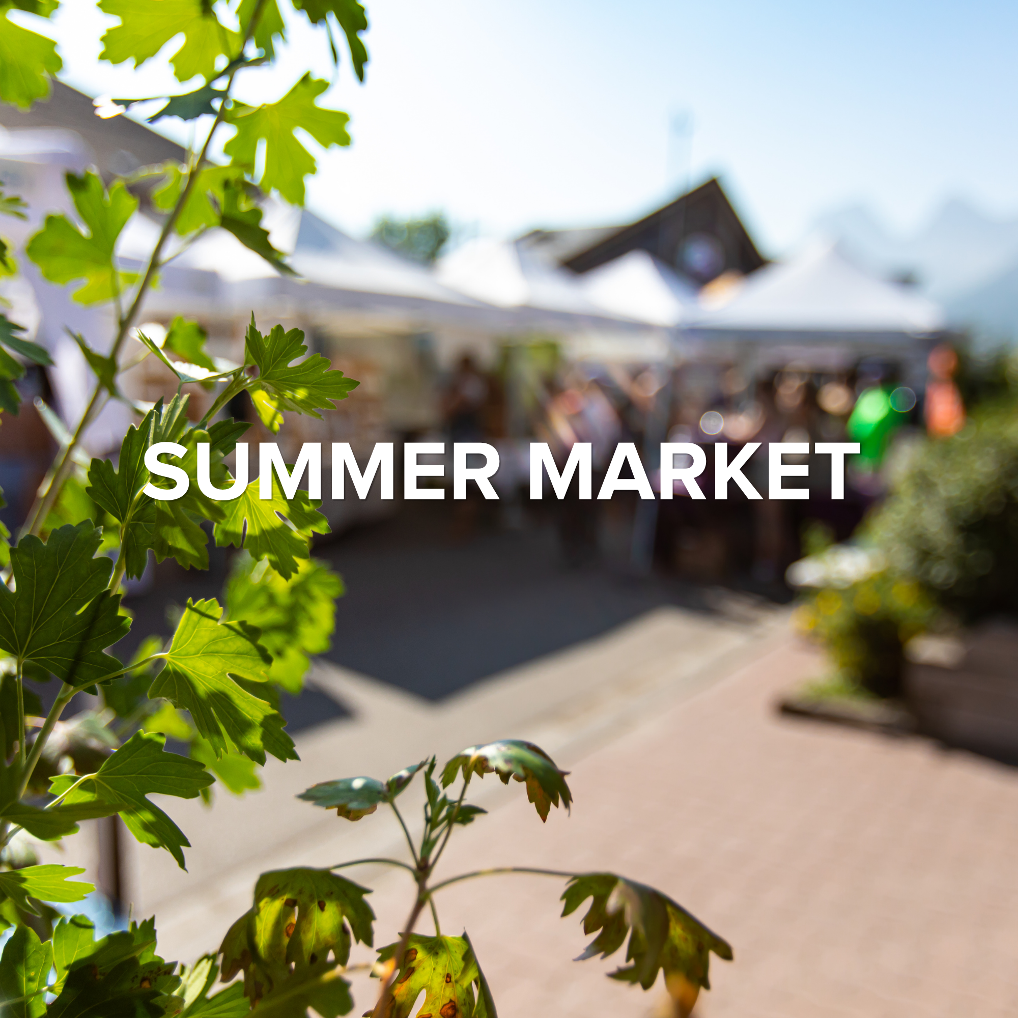Summer Market in the Park