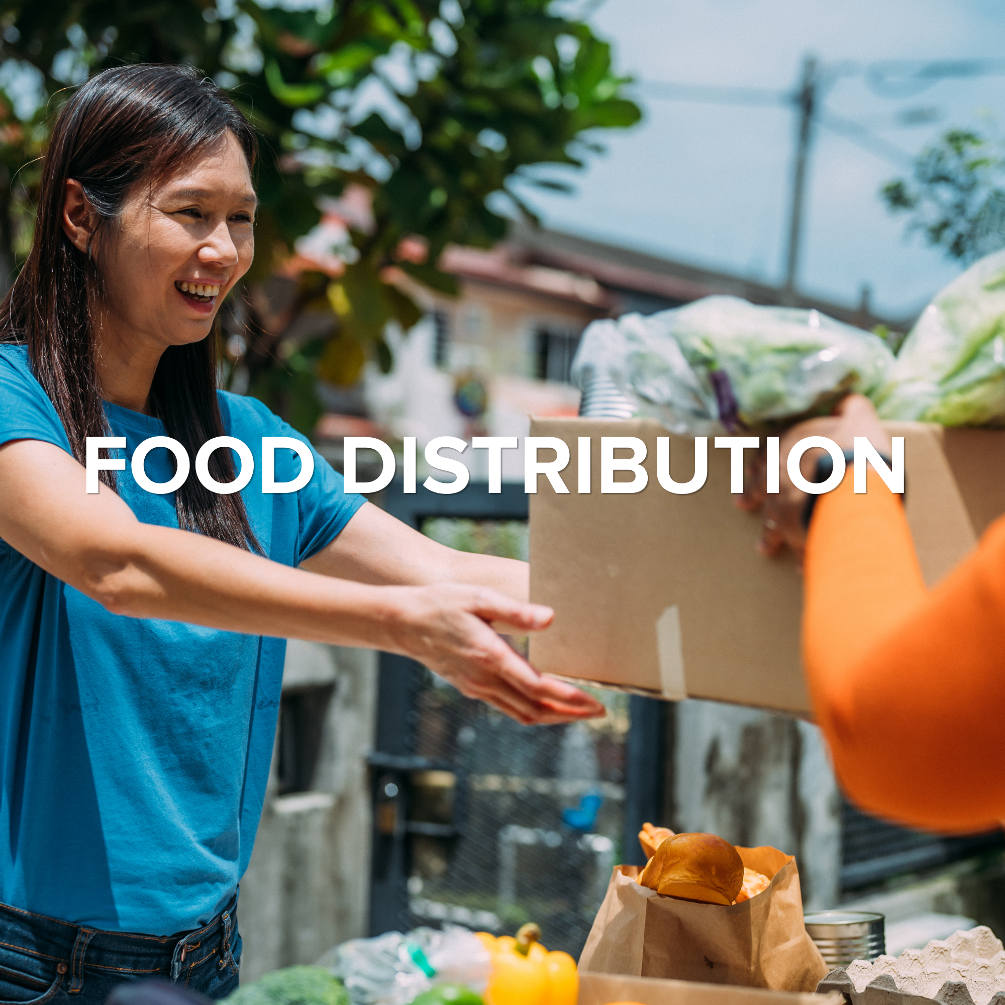 Veteran Support Initiative Food Distribution