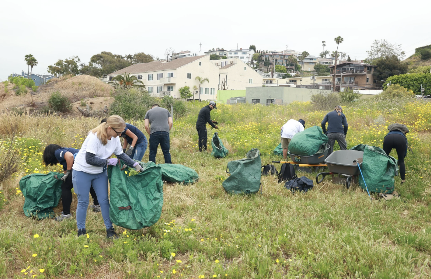 COMMUNITY HABITAT RESTORATION WITH FRIENDS OF BALLONA WETLANDS