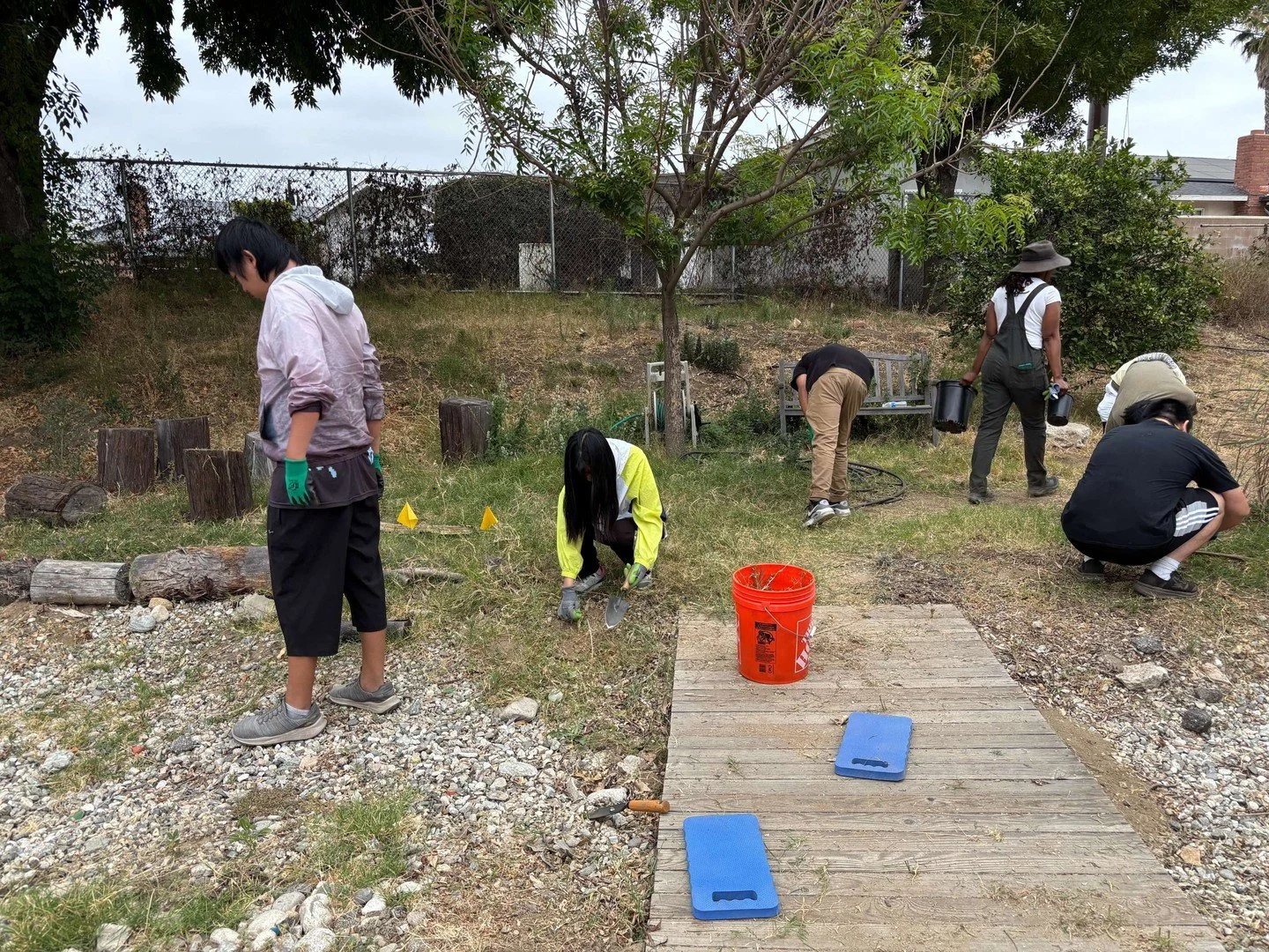 🌱 Community in action!

On June 27, Breathe Southern California partnered with Arroyo Farm Lab for a volunteer restoration day where 46 volunteers of all ages came together to care for this special space.
Together, we:

🌳 Planted 4 native trees
🌿 