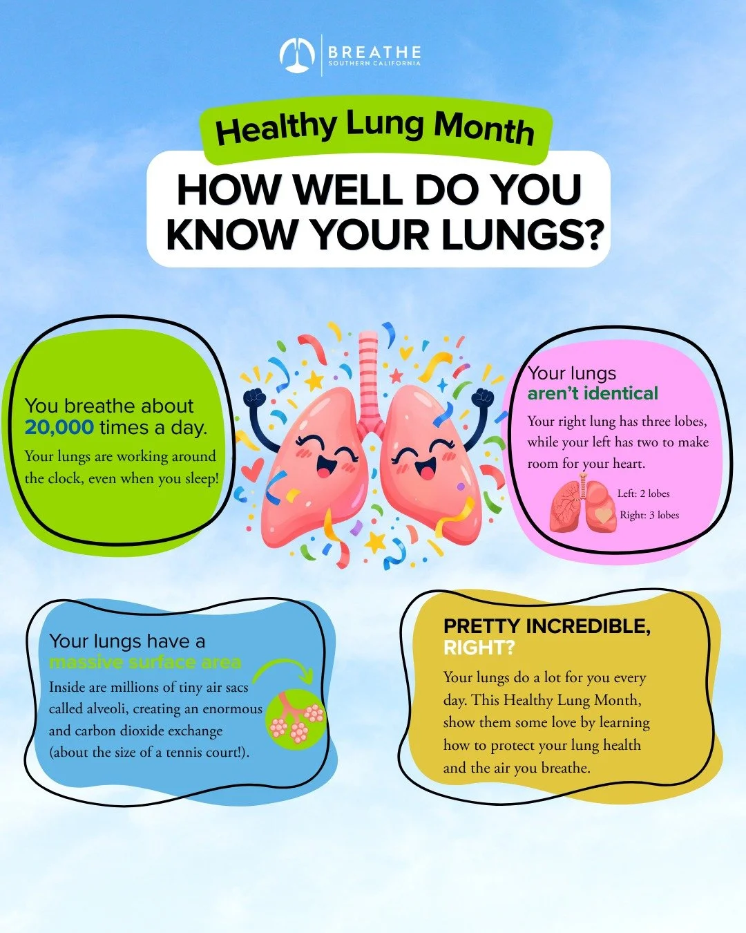 Your lungs are working for you 24/7&mdash;helping you take around 20,000 breaths every day! And there&rsquo;s a lot more happening inside them than you might realize. 👀

This Healthy Lung Month, we&rsquo;re celebrating the incredible organs that kee