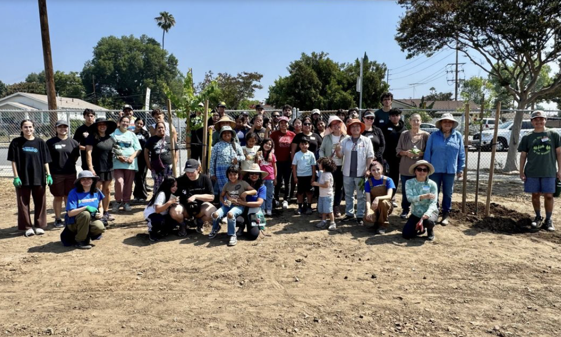 Hands in Soil Day | BlueSky LA